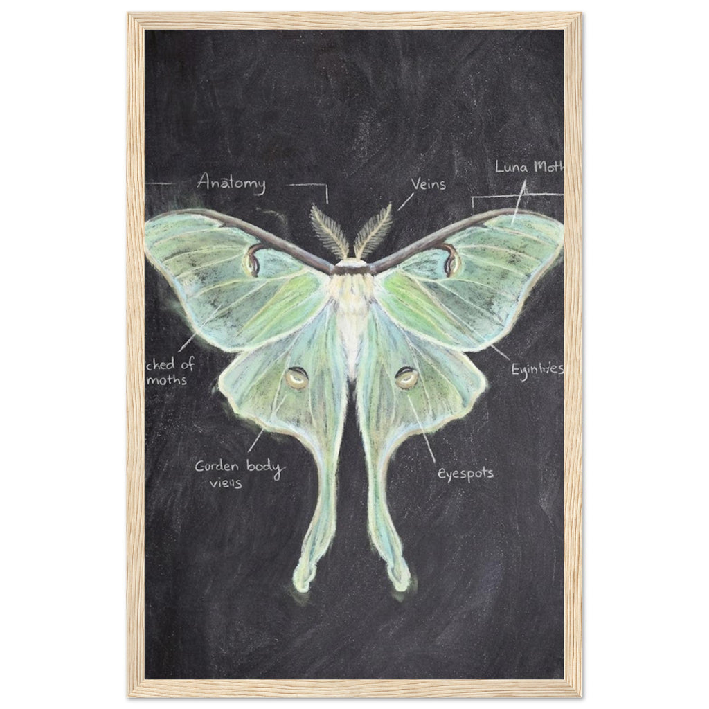 990e20f8-5209-4ed4-94f3-17177b4a5ad2