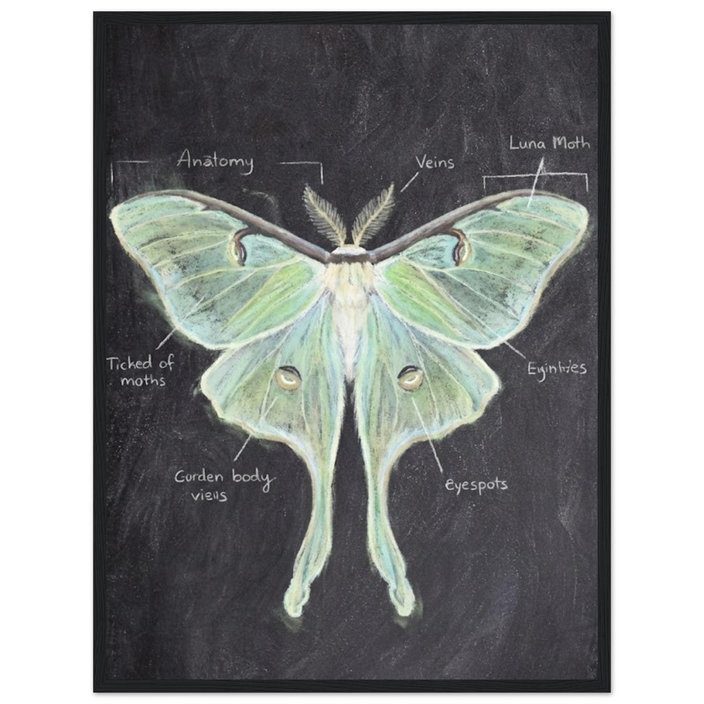 995e789a-6684-40ac-9c10-15b429cd7f42