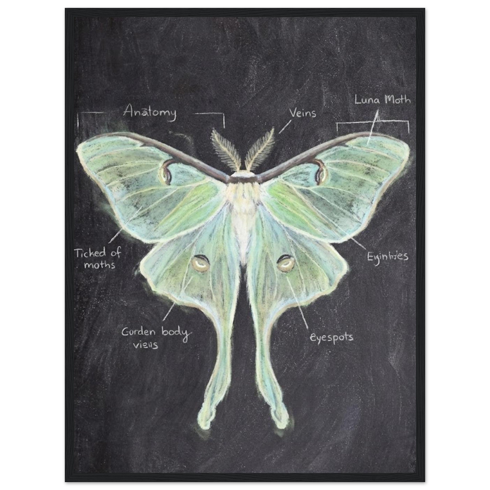 995e789a-6684-40ac-9c10-15b429cd7f42