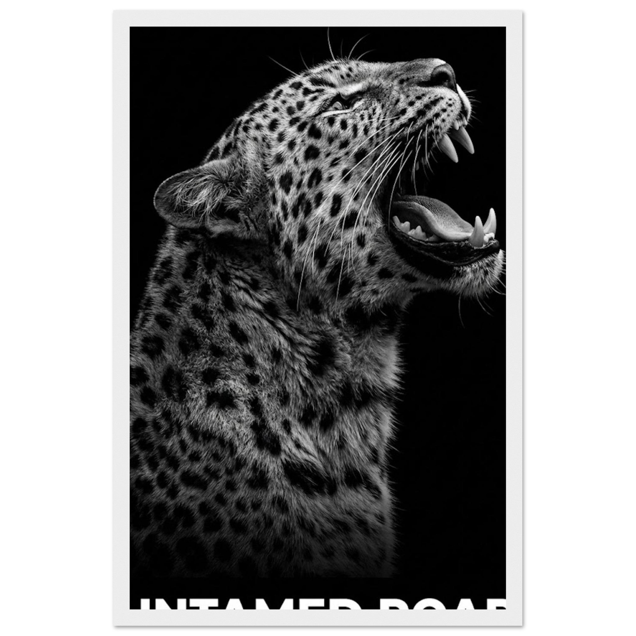 9a163917-4fbb-443f-9f8b-fd75e3556d02