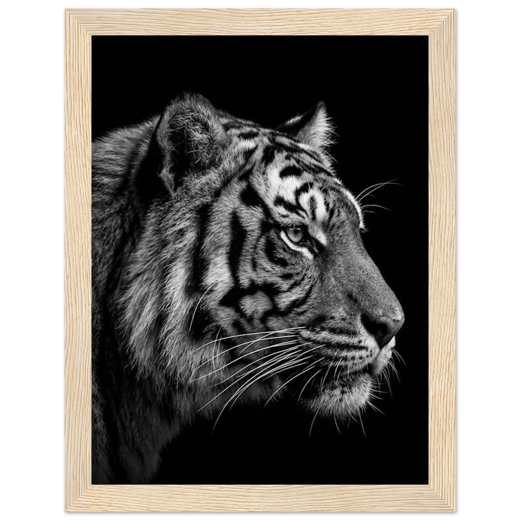 9a5e3d57-b1d6-4871-ac19-aad648d026b8