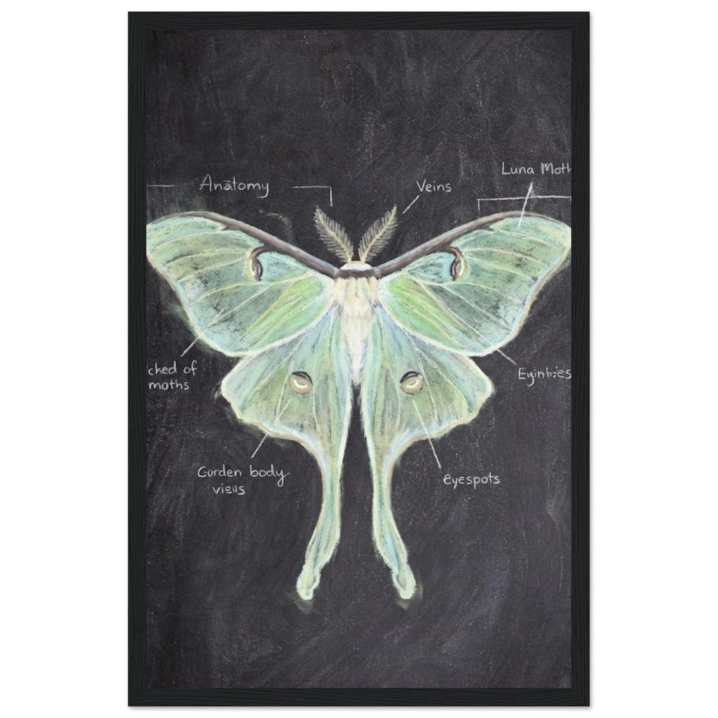 9a895a6b-0f06-40ec-afd0-dc879e2eaedd