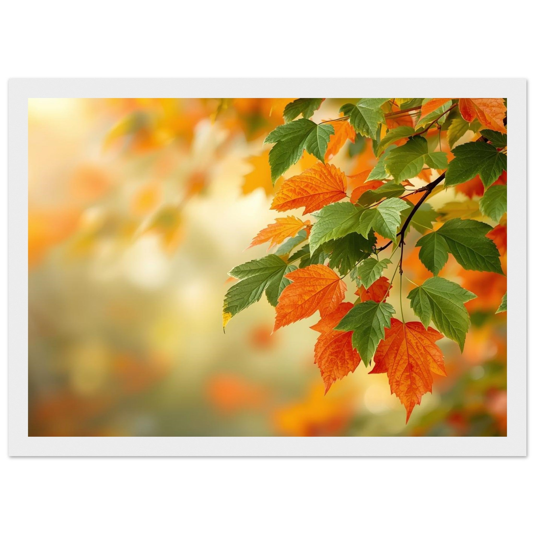 9ae5e790-9e54-4517-b373-f0a5908a3c39