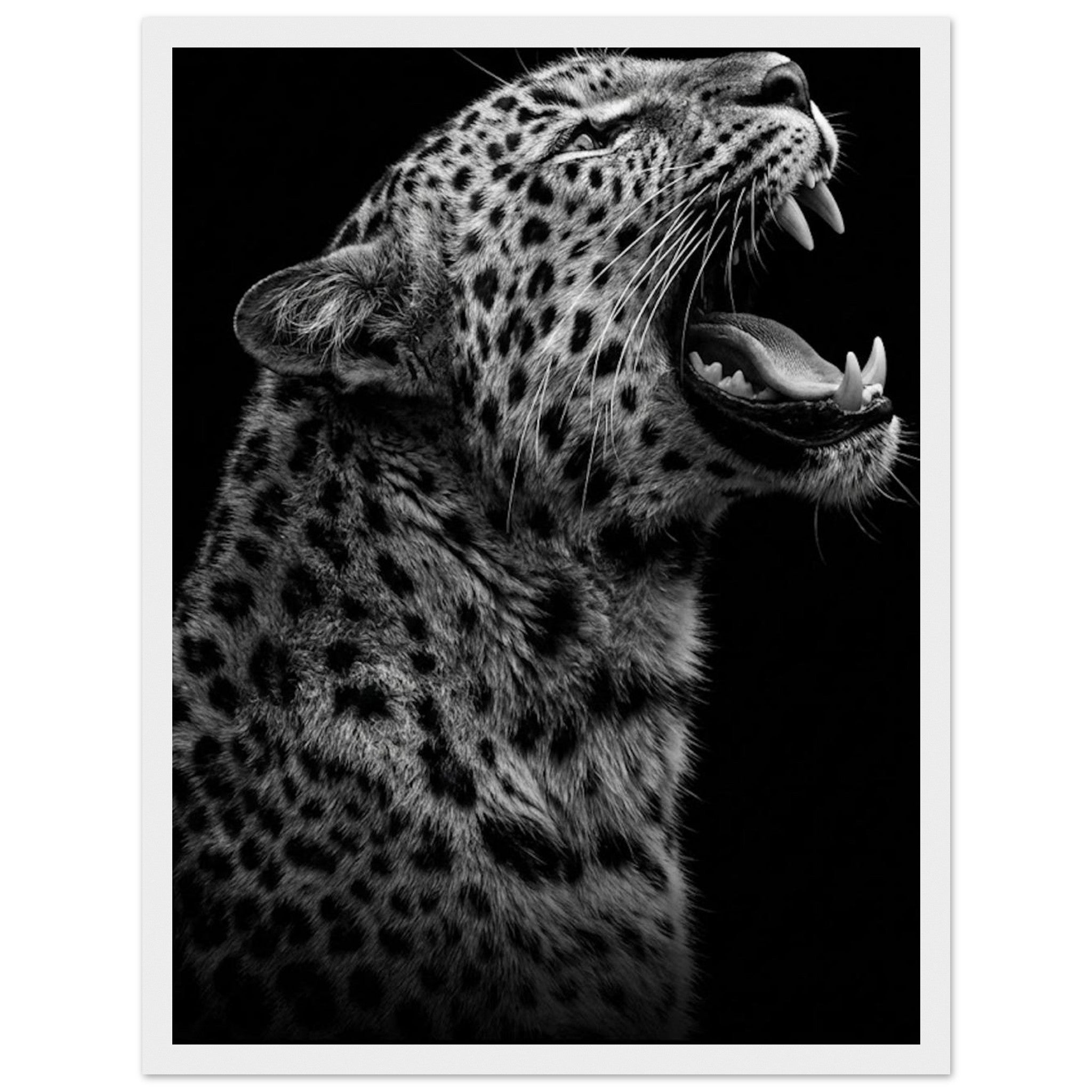 9b316cda-ed39-448e-81fa-bca3a1c16a01