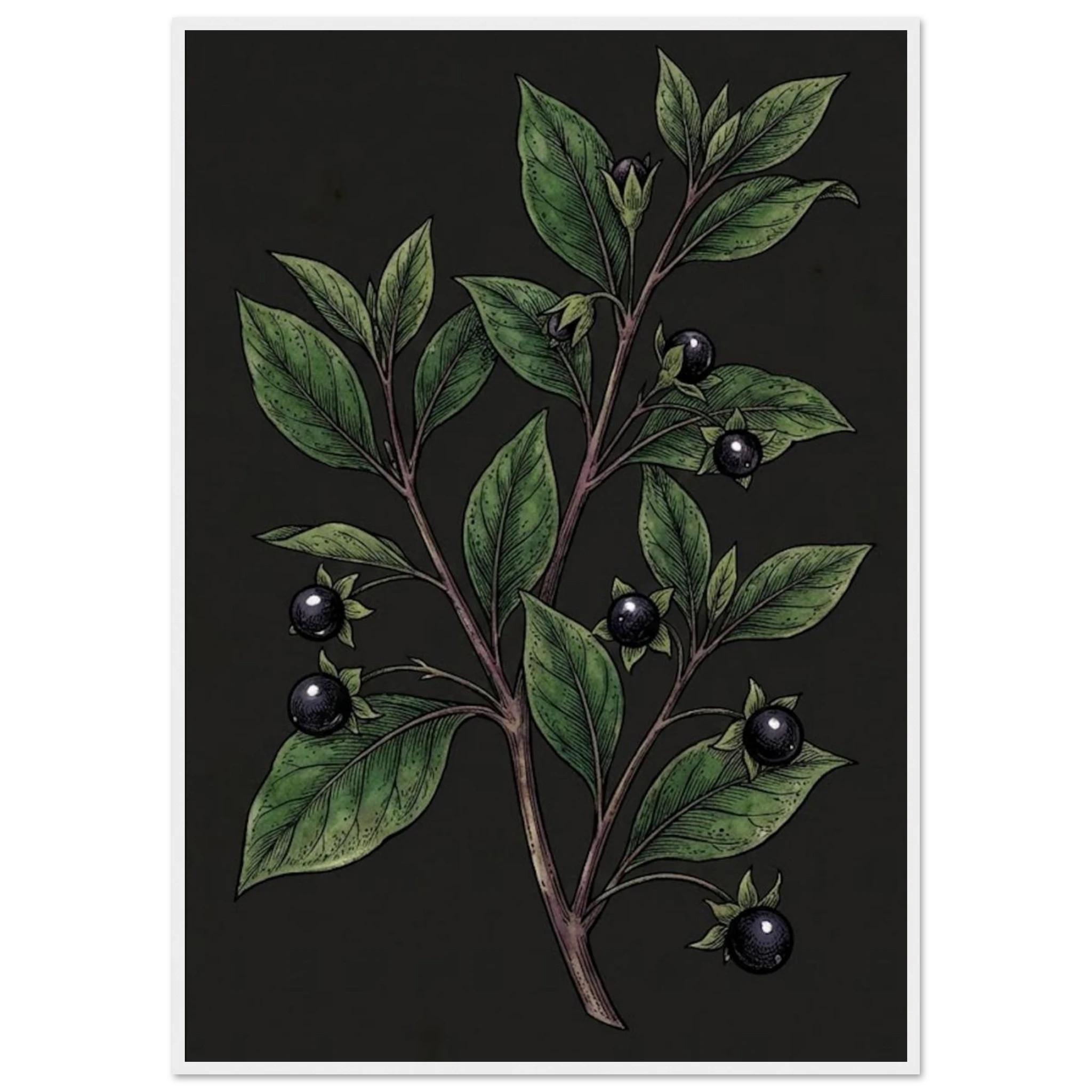 9b378fa9-0768-426b-a2ee-2cff4ce4b10f