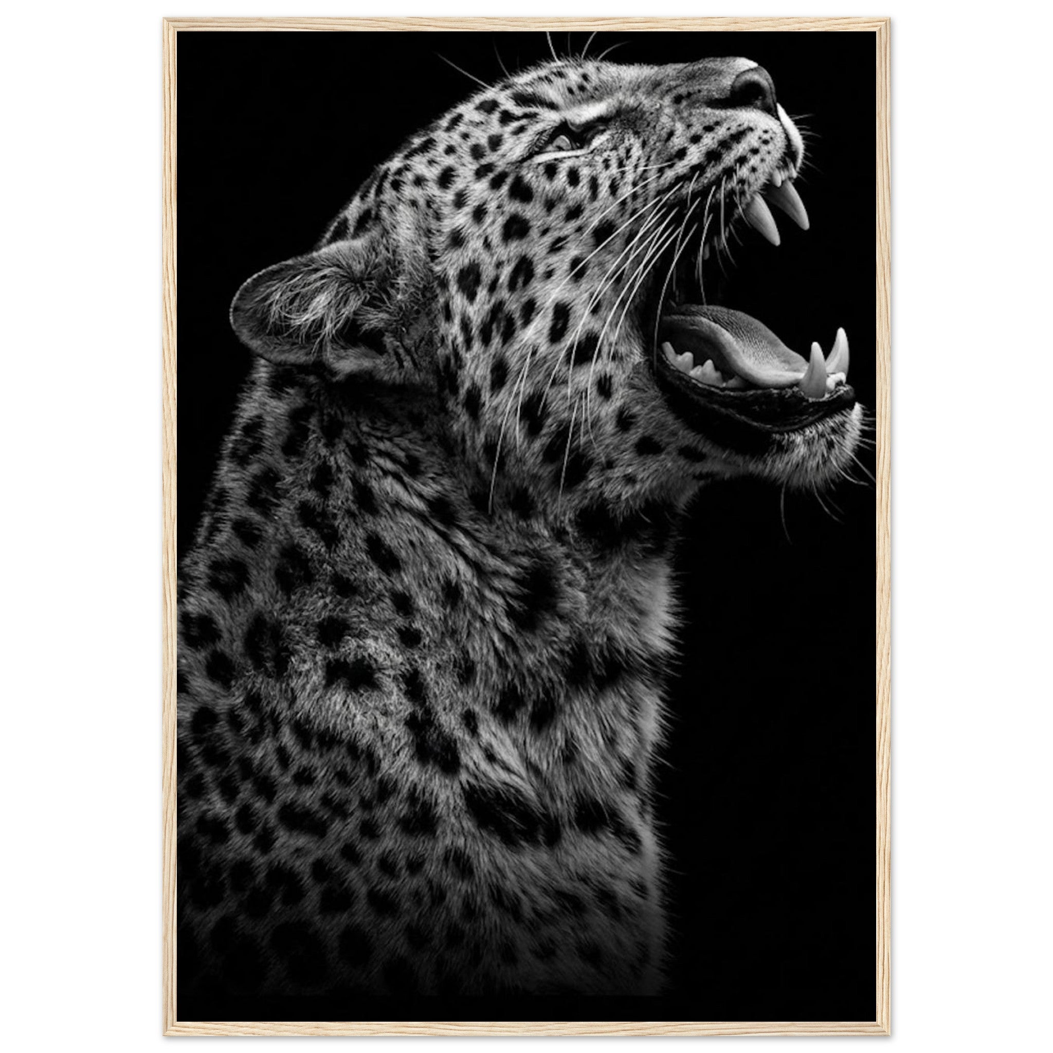 9ba4fdbb-dc00-45f6-bac0-fb53a4935cee