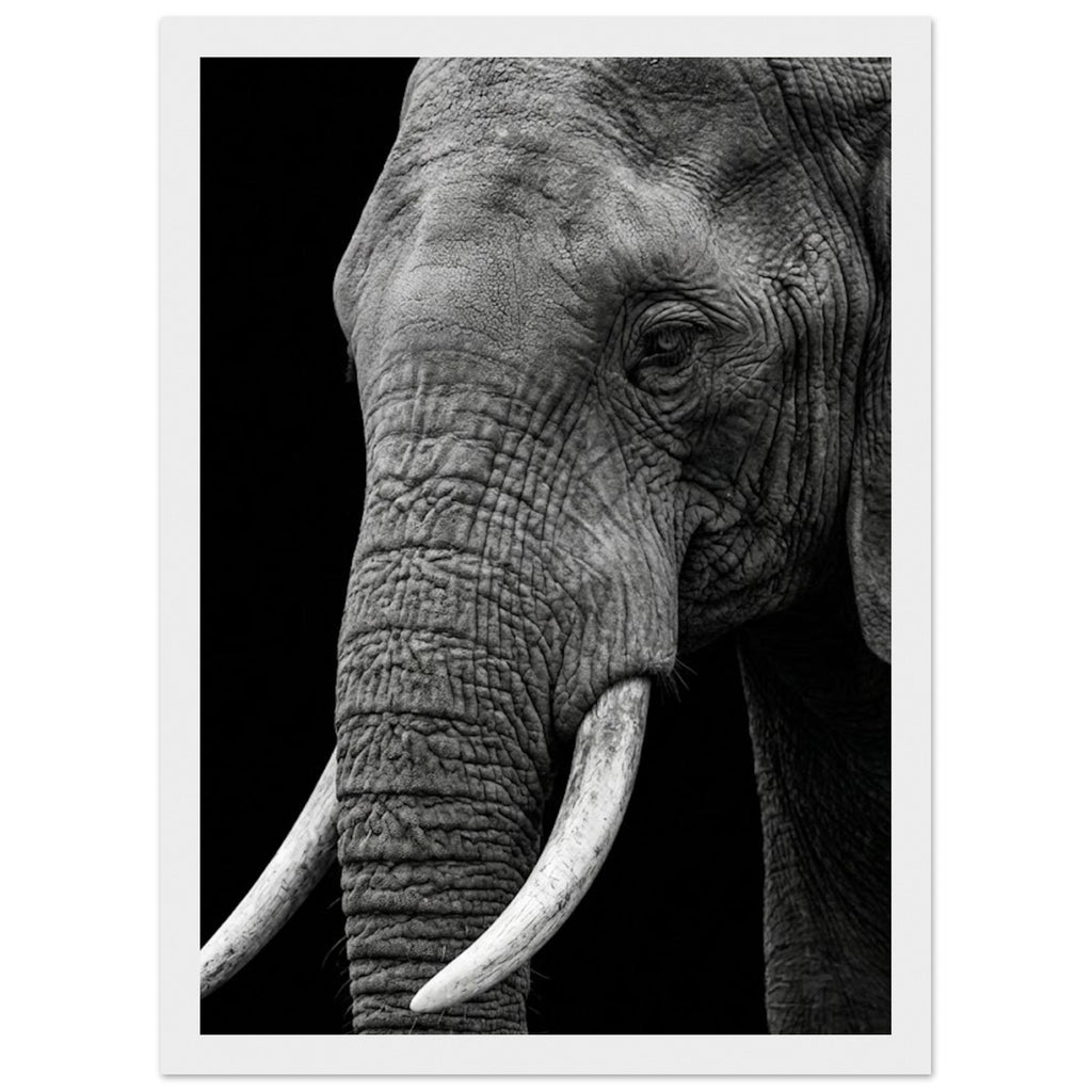 9c46fa64-1808-4579-8220-cc1ac9df2a96