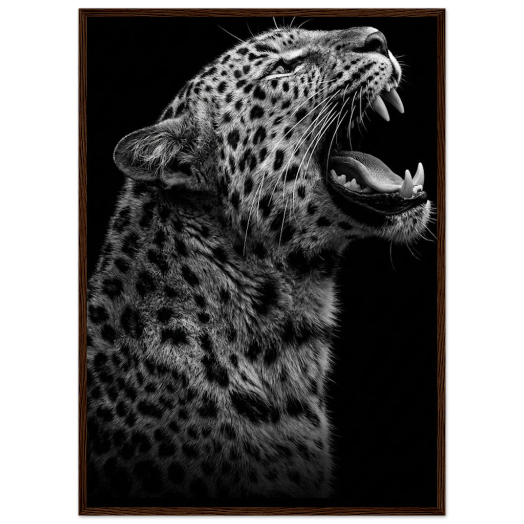 9d44389b-7b69-4d2c-aac6-bc900c75a3dc