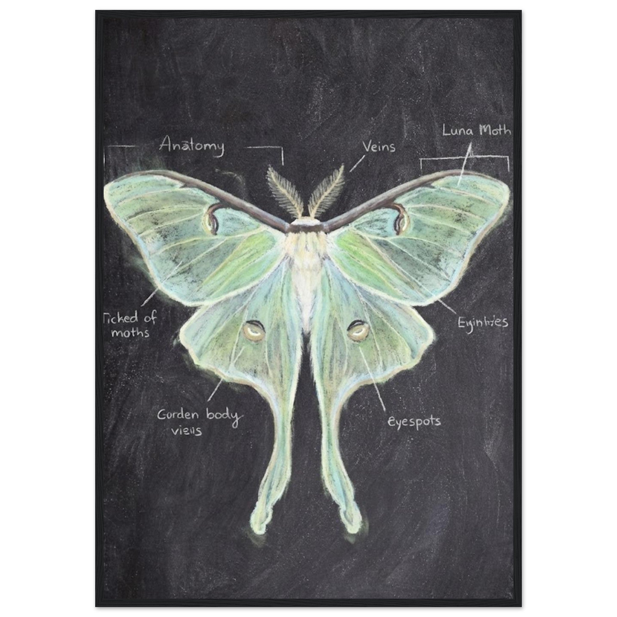 9e4da146-d6cf-4ce8-b9a1-f309cfbfc84a