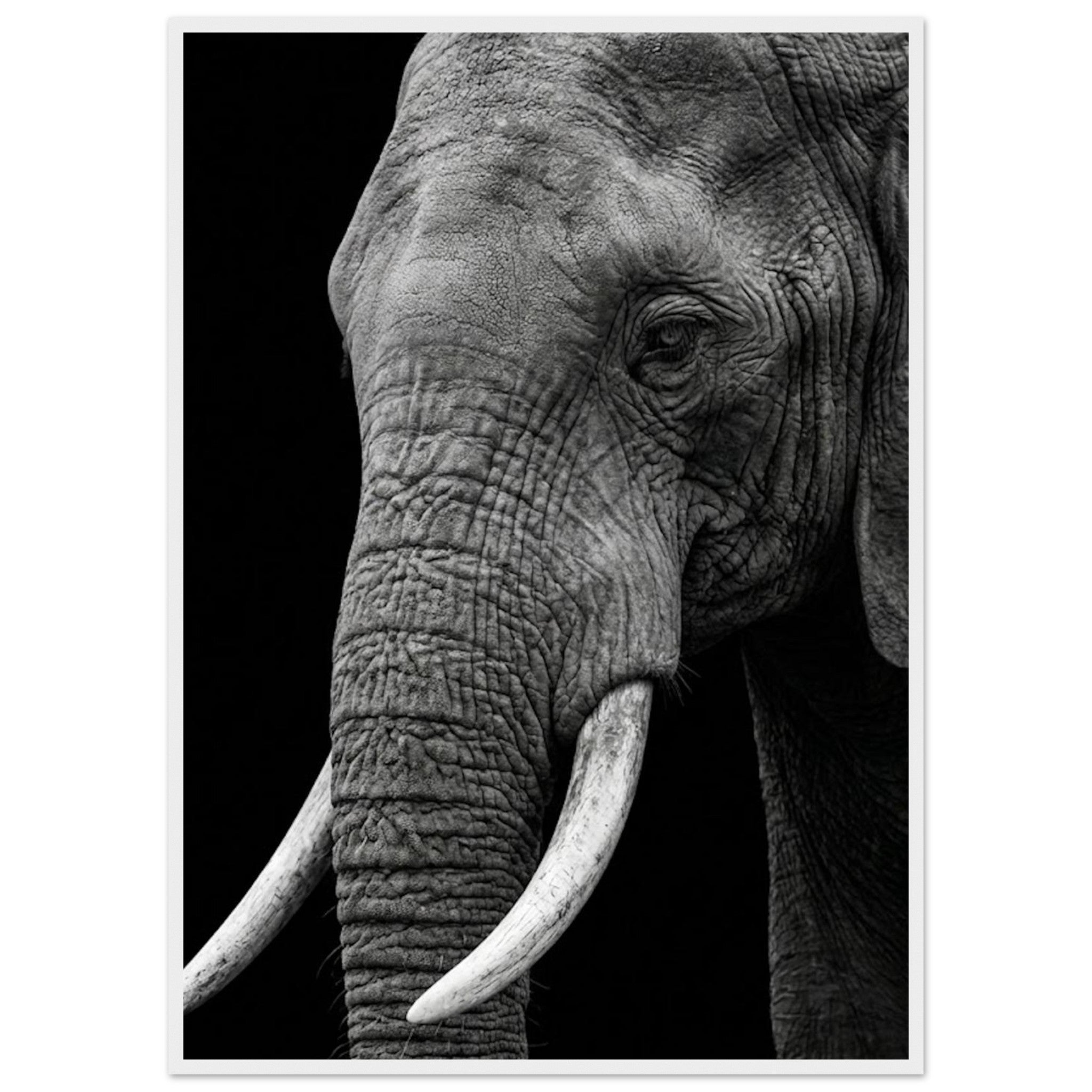 9ebda50f-f9af-4f34-ac5a-4f1cfda0bf23