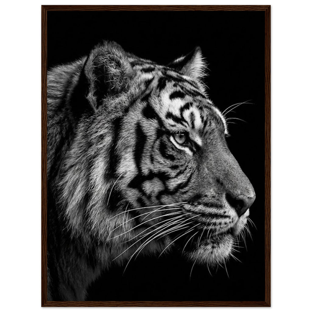 a0a9f915-d7d0-4fc0-a7d2-863c4787731b