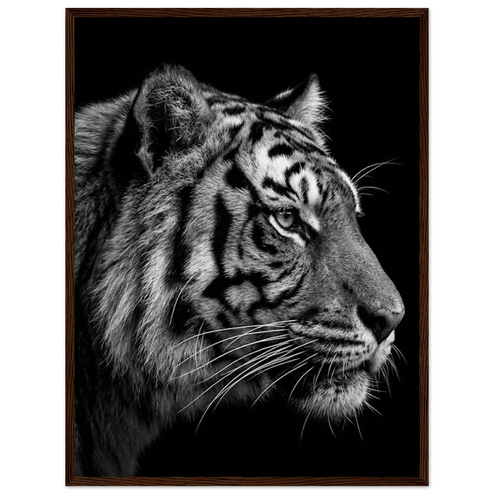 a0a9f915-d7d0-4fc0-a7d2-863c4787731b