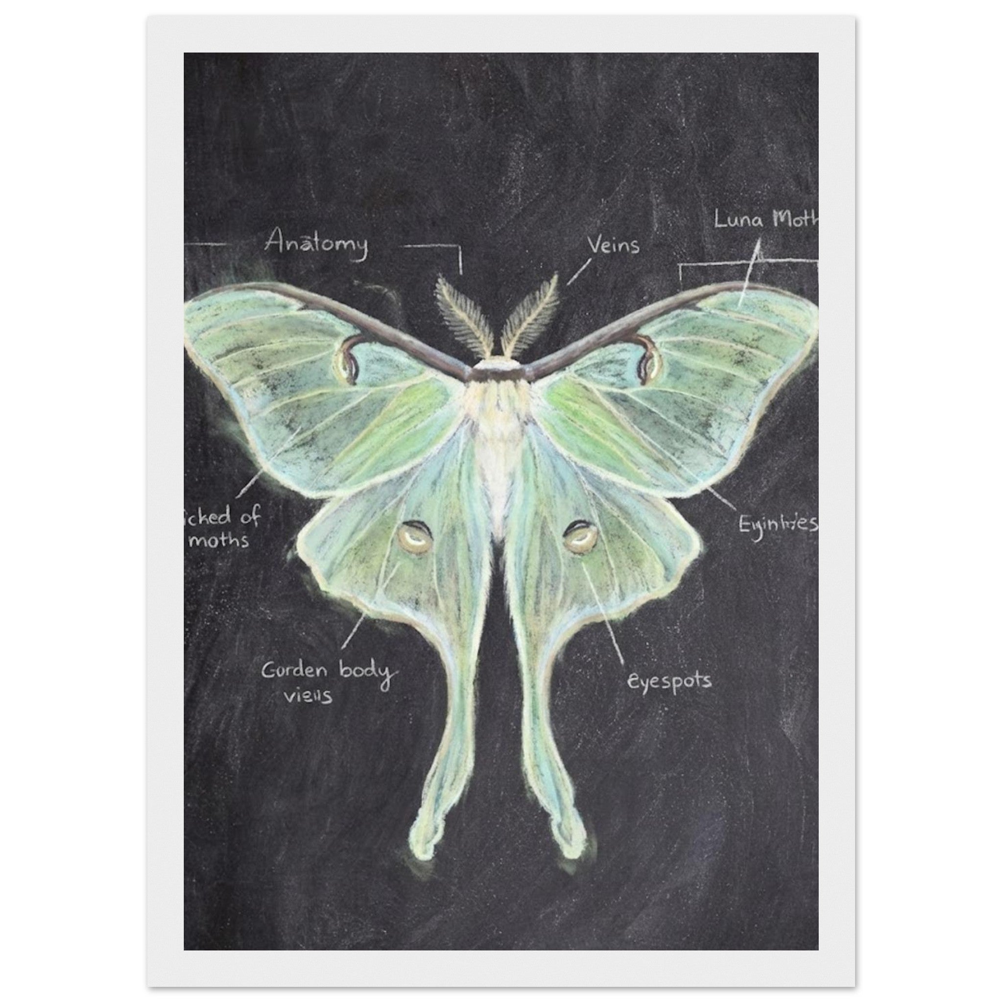 a3855b2b-b0e1-4061-941c-ad123edb9be2