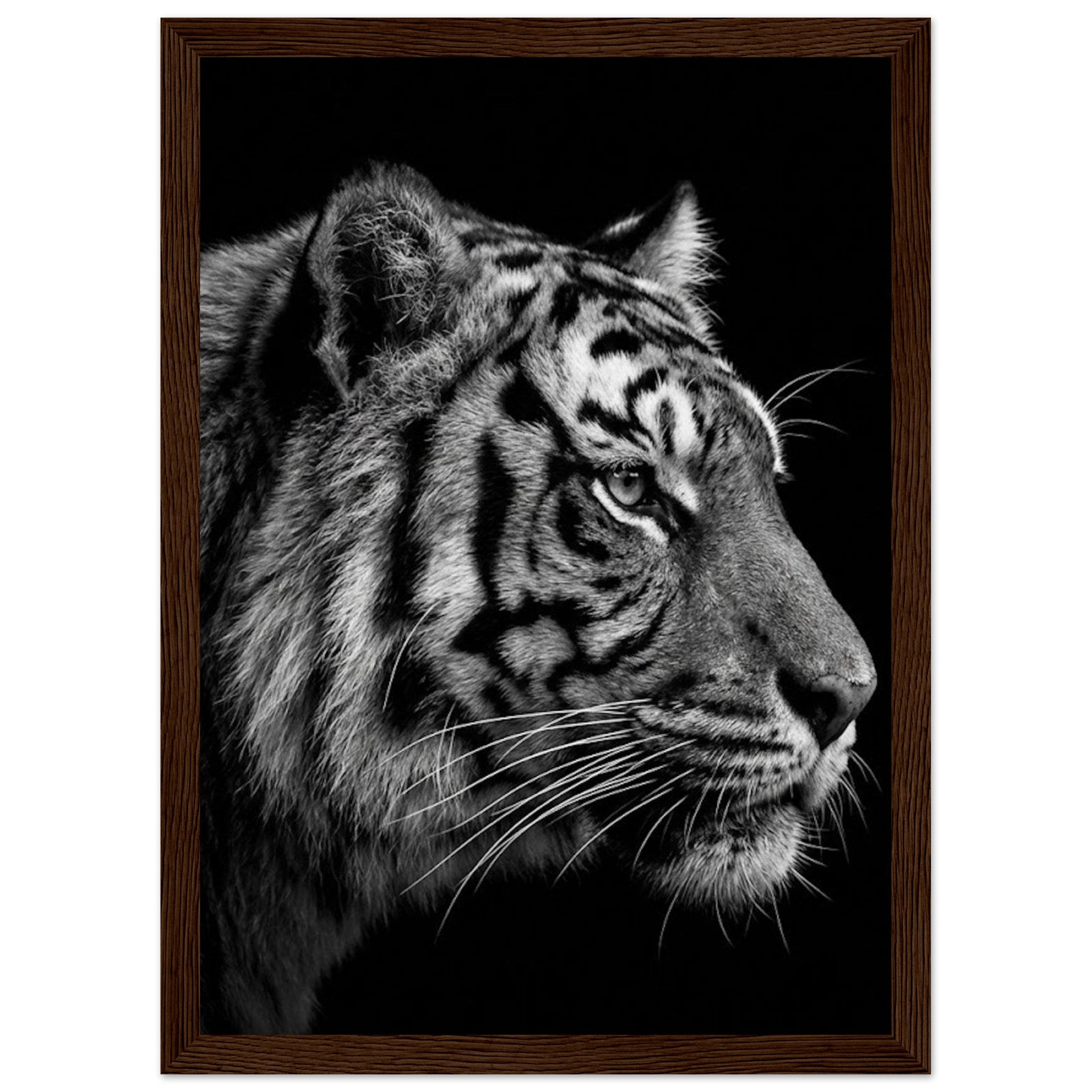 a473cc57-f1a0-49ab-85cb-2eaa8d507b4f