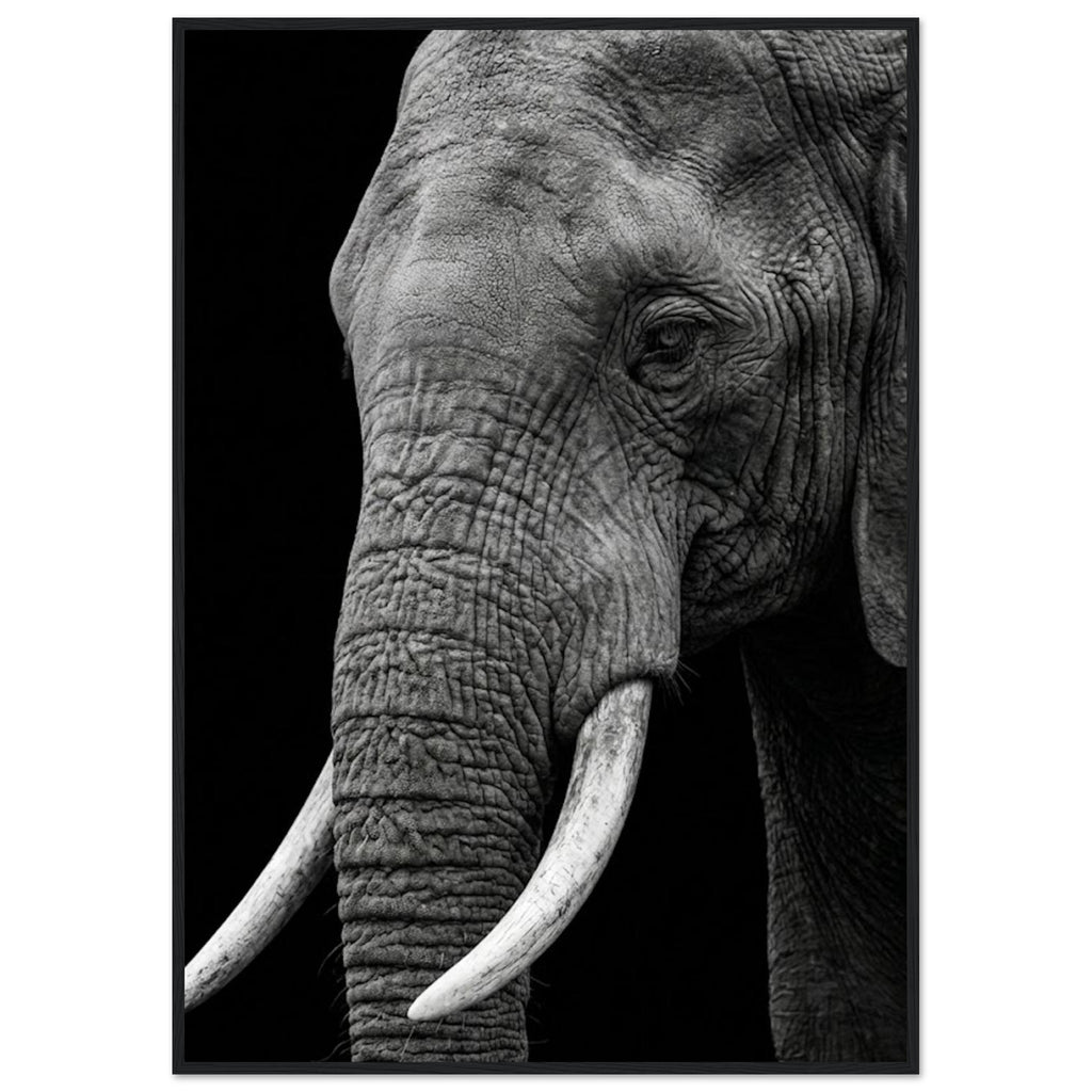 a49f5f6a-a2e7-4ab6-a737-8887121a0852