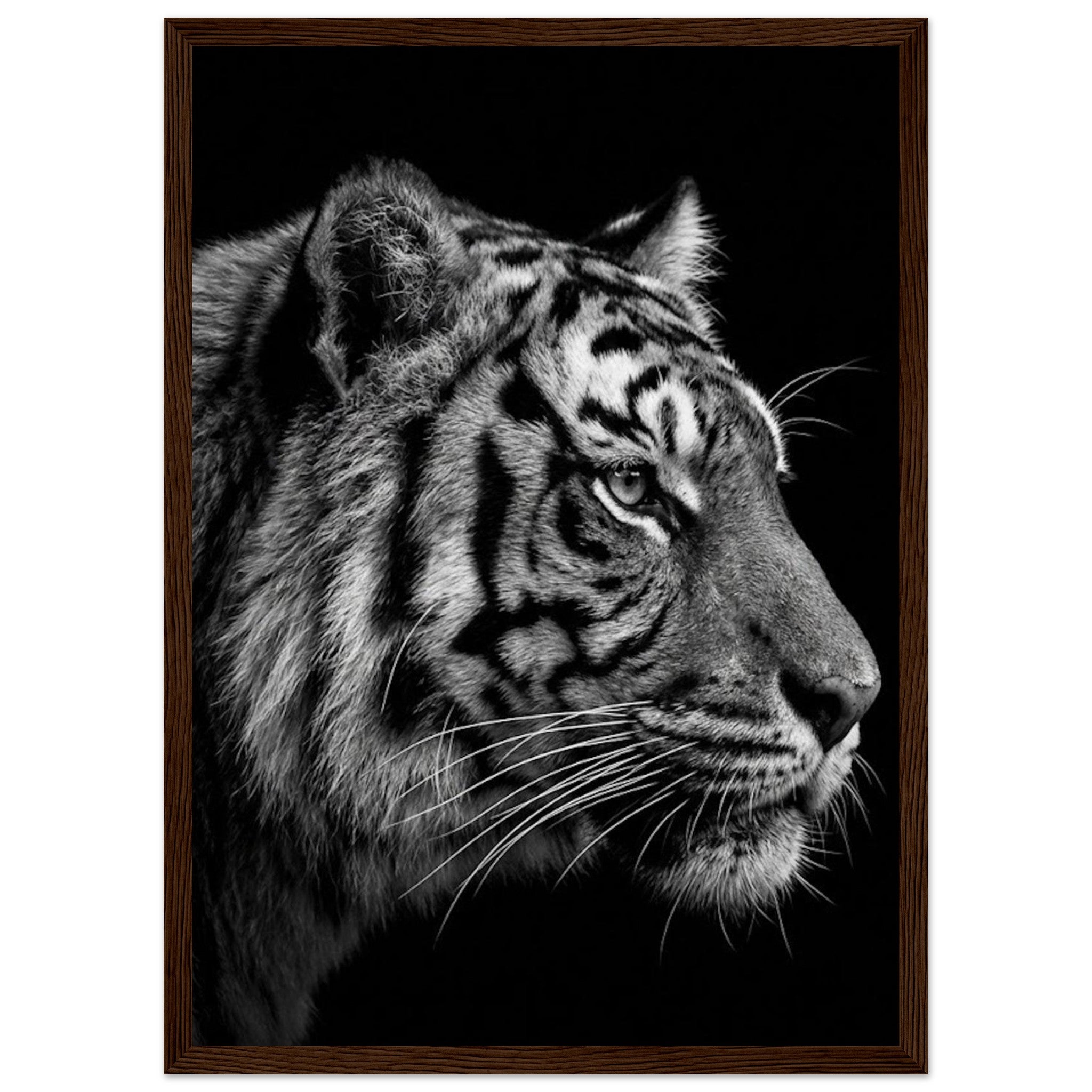 a50a047c-6981-4fdc-8c37-b29b60359775