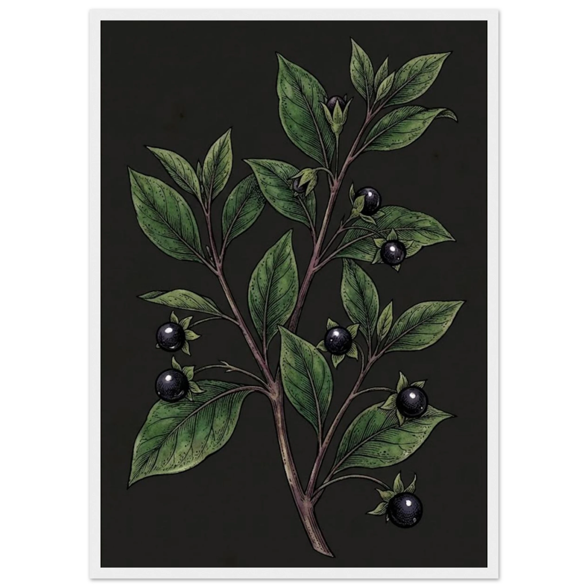 a5b3b936-fb4b-4066-aedb-11fb64d9afc0