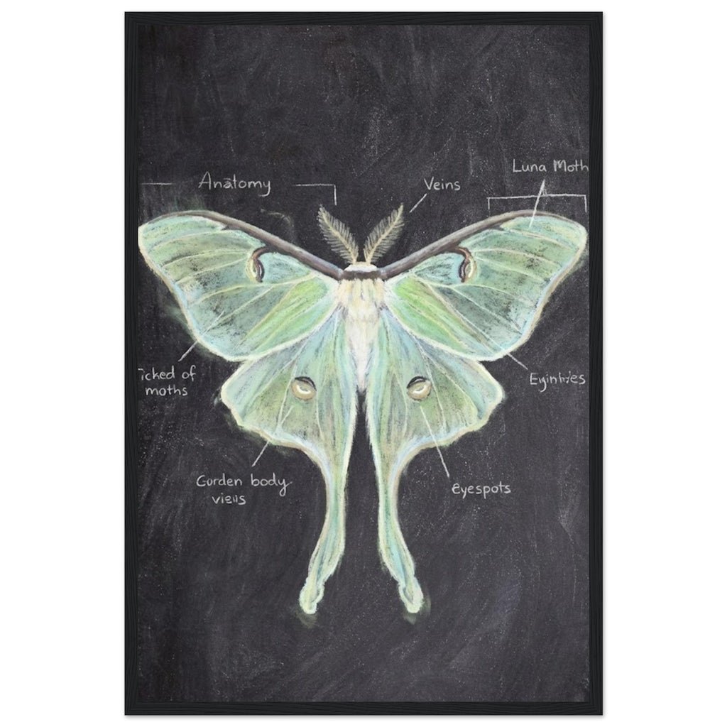 a7834370-386d-488e-8edf-ff7f5da96afa