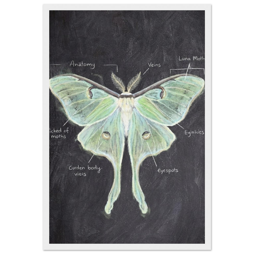 a81bf8a4-9f36-4b6f-a2f9-227d89c247d0