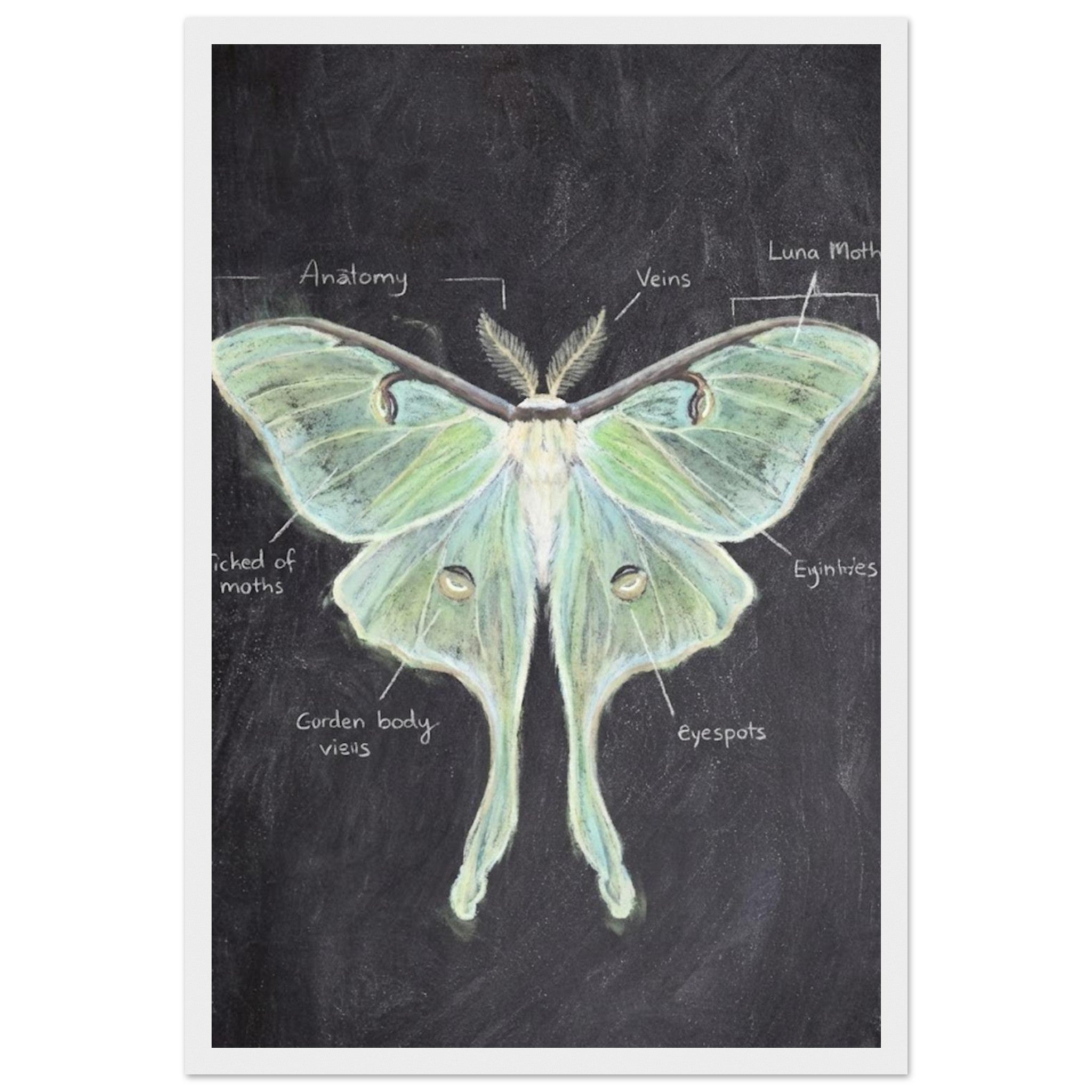 a81bf8a4-9f36-4b6f-a2f9-227d89c247d0