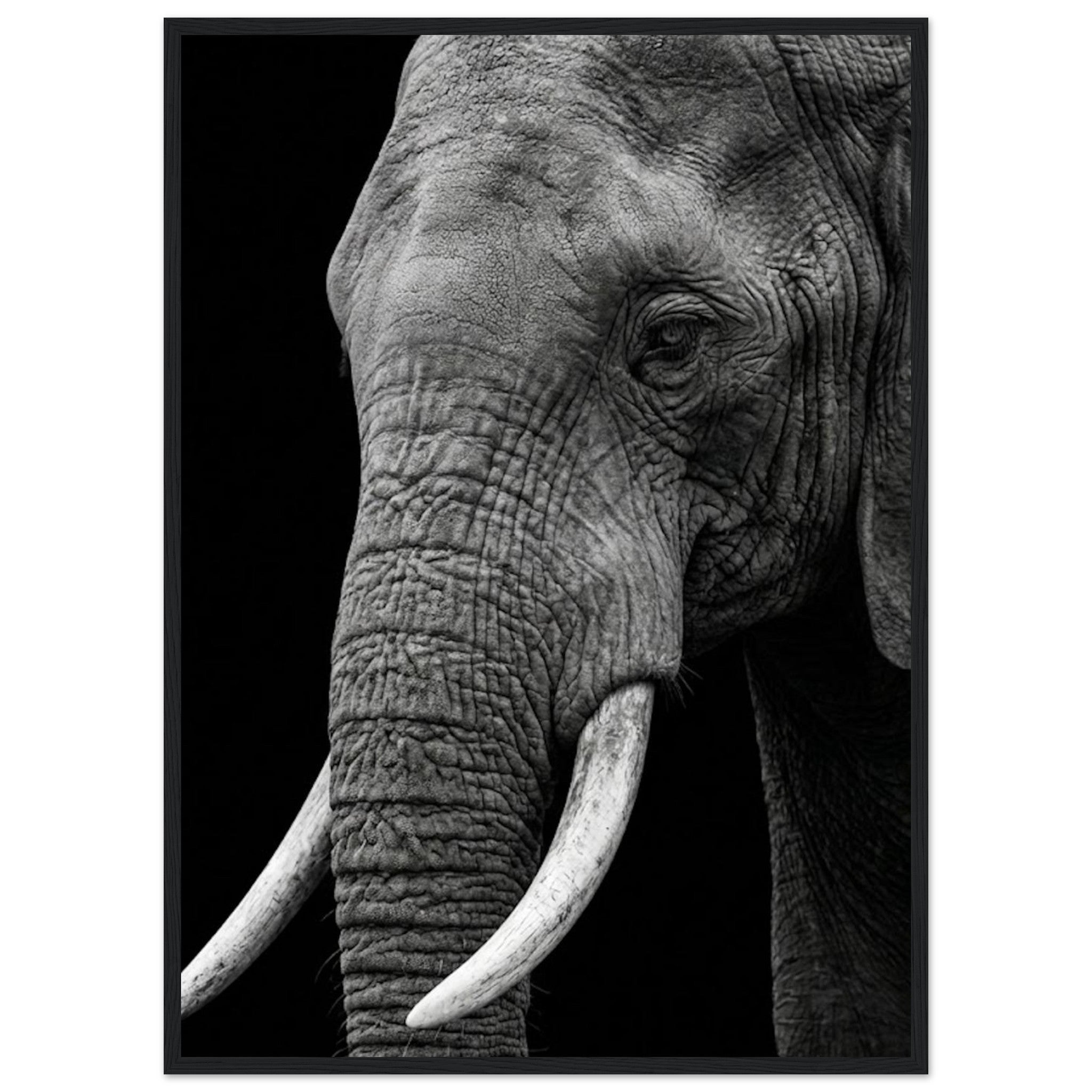 a832eb3a-0809-4dc8-845d-926f9c4a72bb