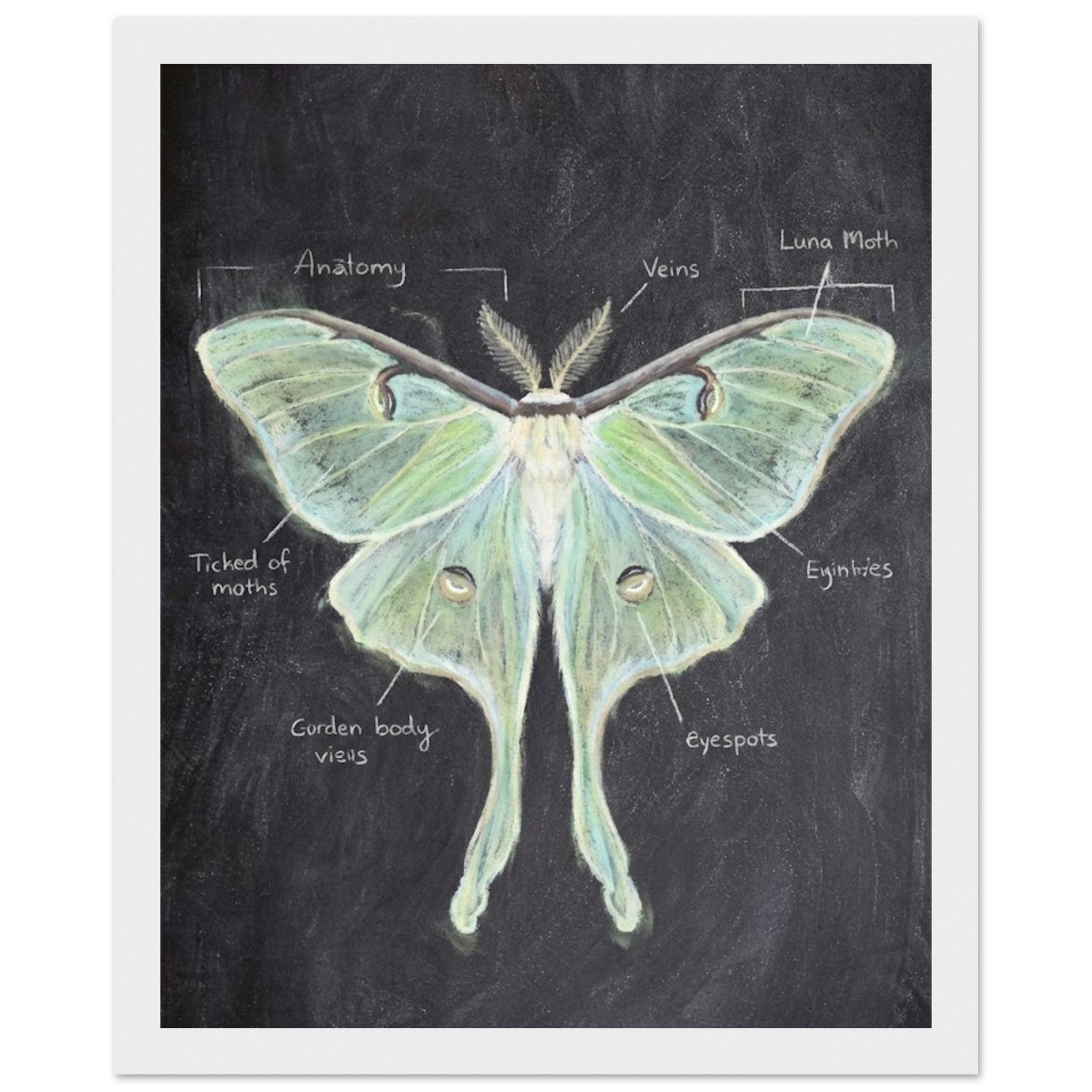 a98c3214-8c04-4da5-aba9-9fd1090daa25