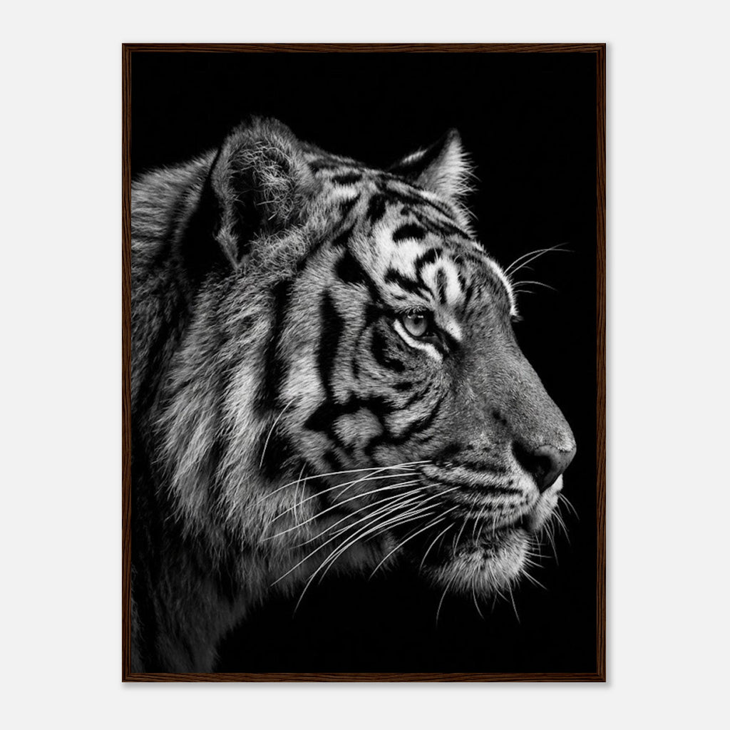 a99e2a87-8644-41af-977a-3a6f1ee518ab