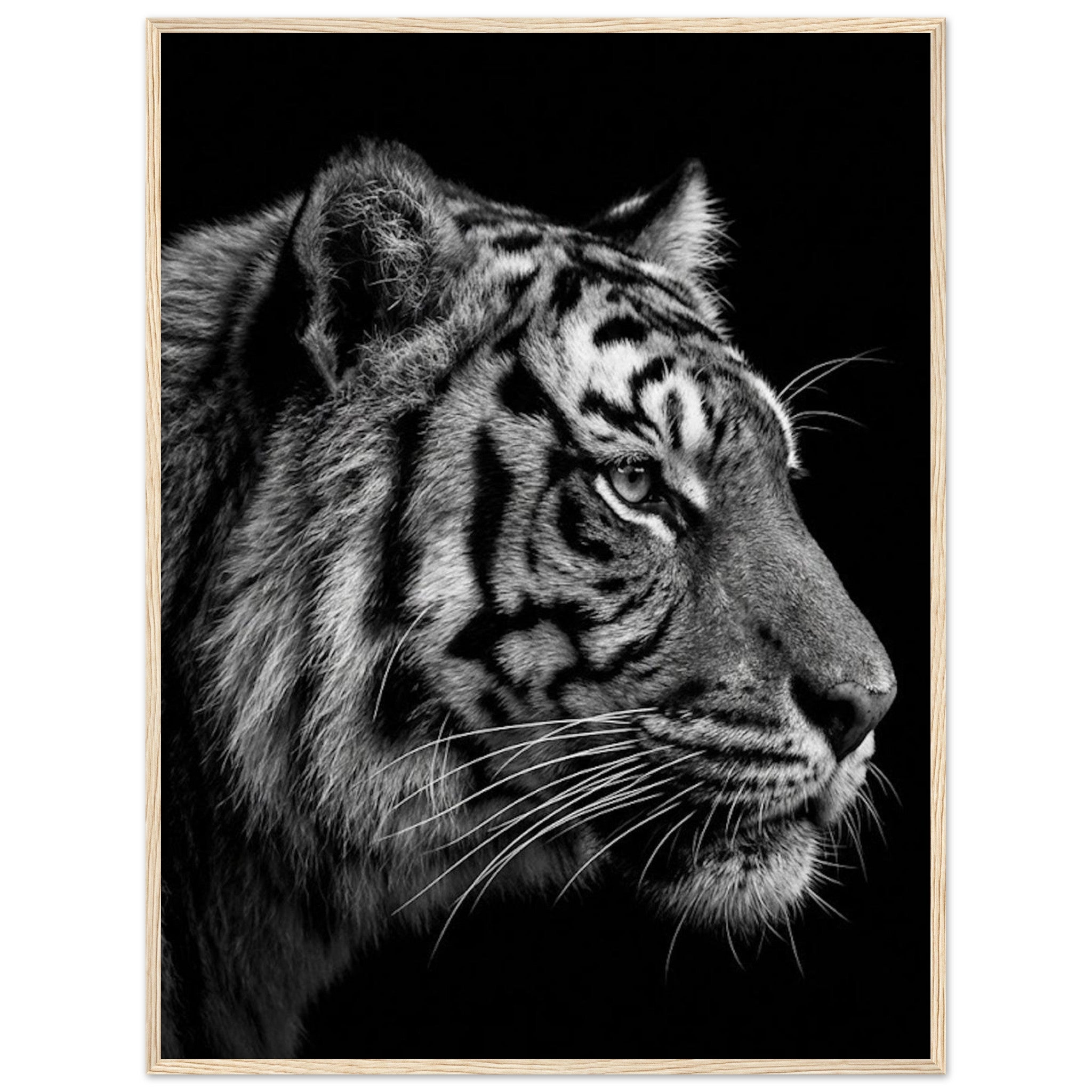 aaecec3f-8516-48aa-912d-9ab5ca201593