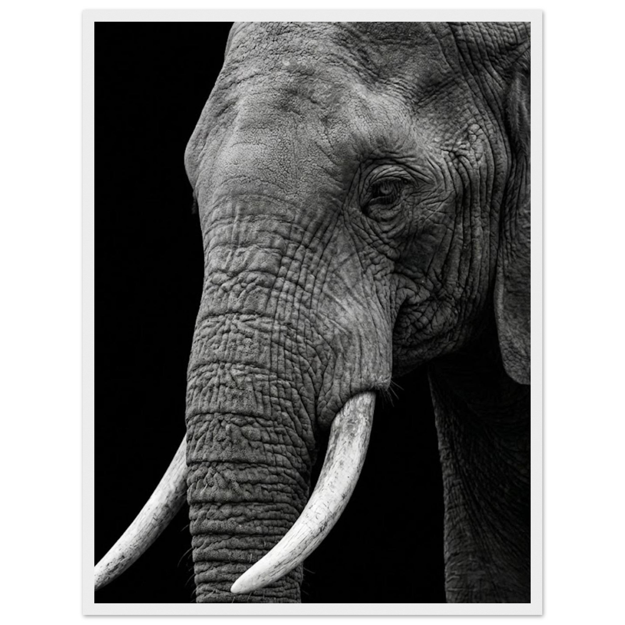 abbe9b66-45ce-4c40-a8cb-a31061c590bd