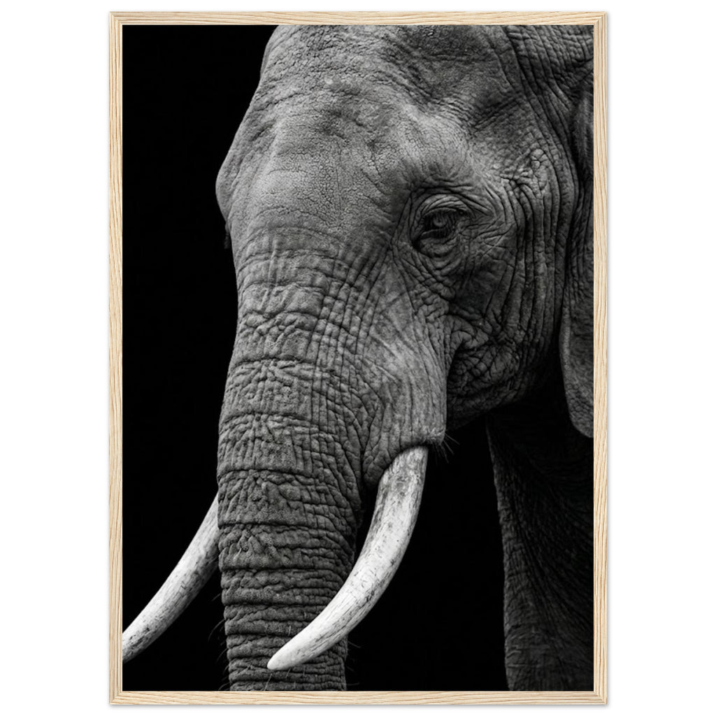 abc3ba27-8618-44f9-9358-0fe659204c19