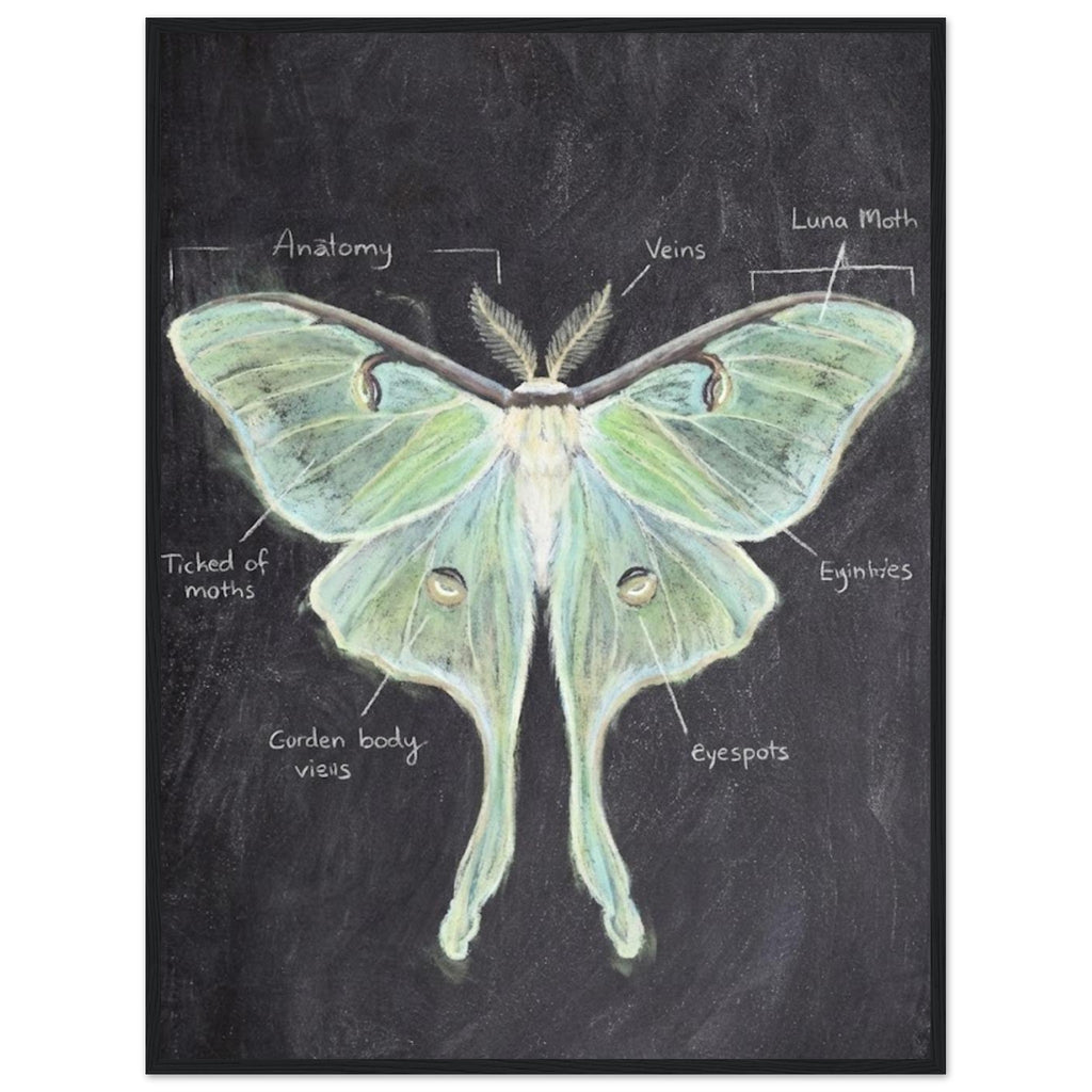 acc706d4-fbef-4b0e-80ab-020fc25770f9