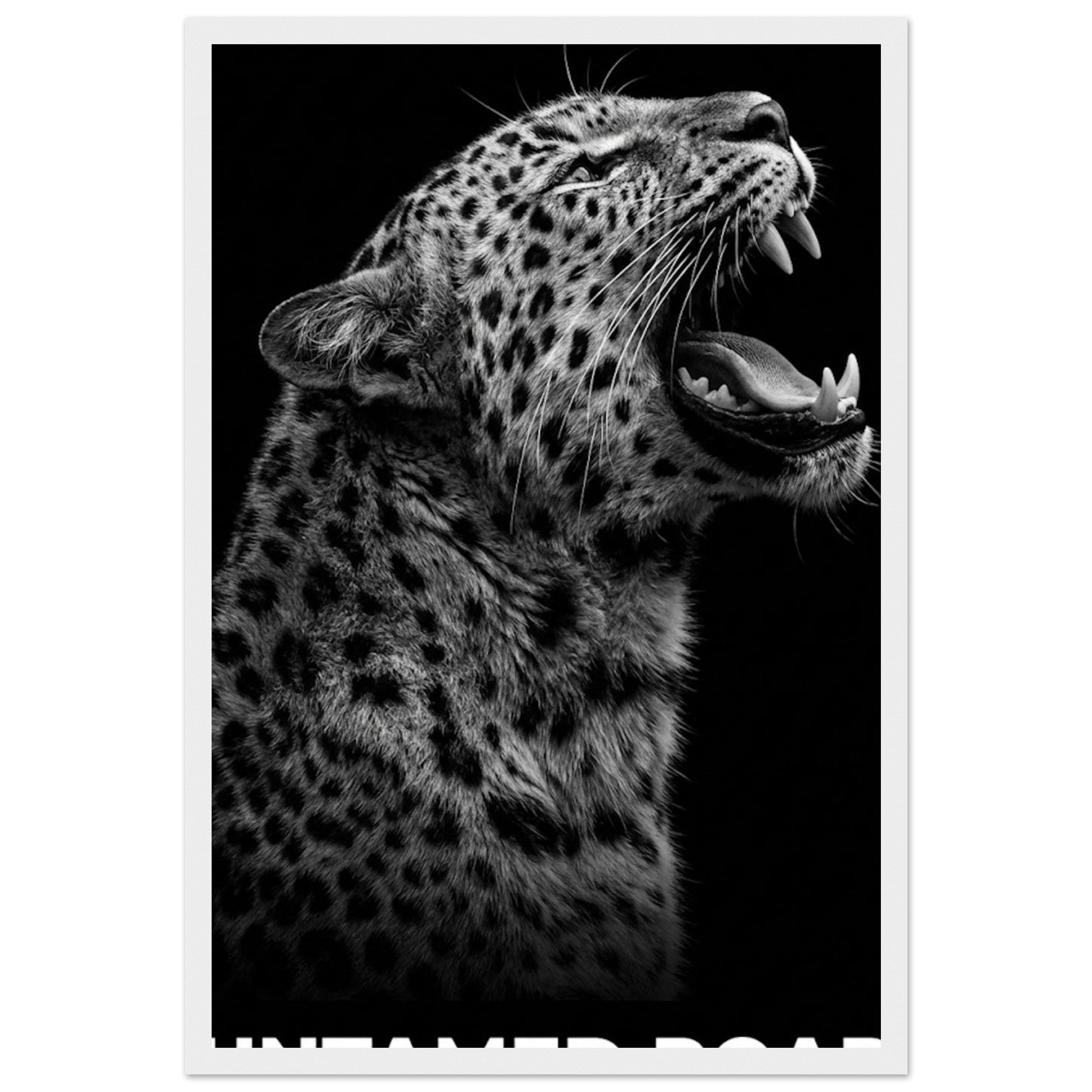 ad1b6485-09c2-4294-89d9-061728a0403f