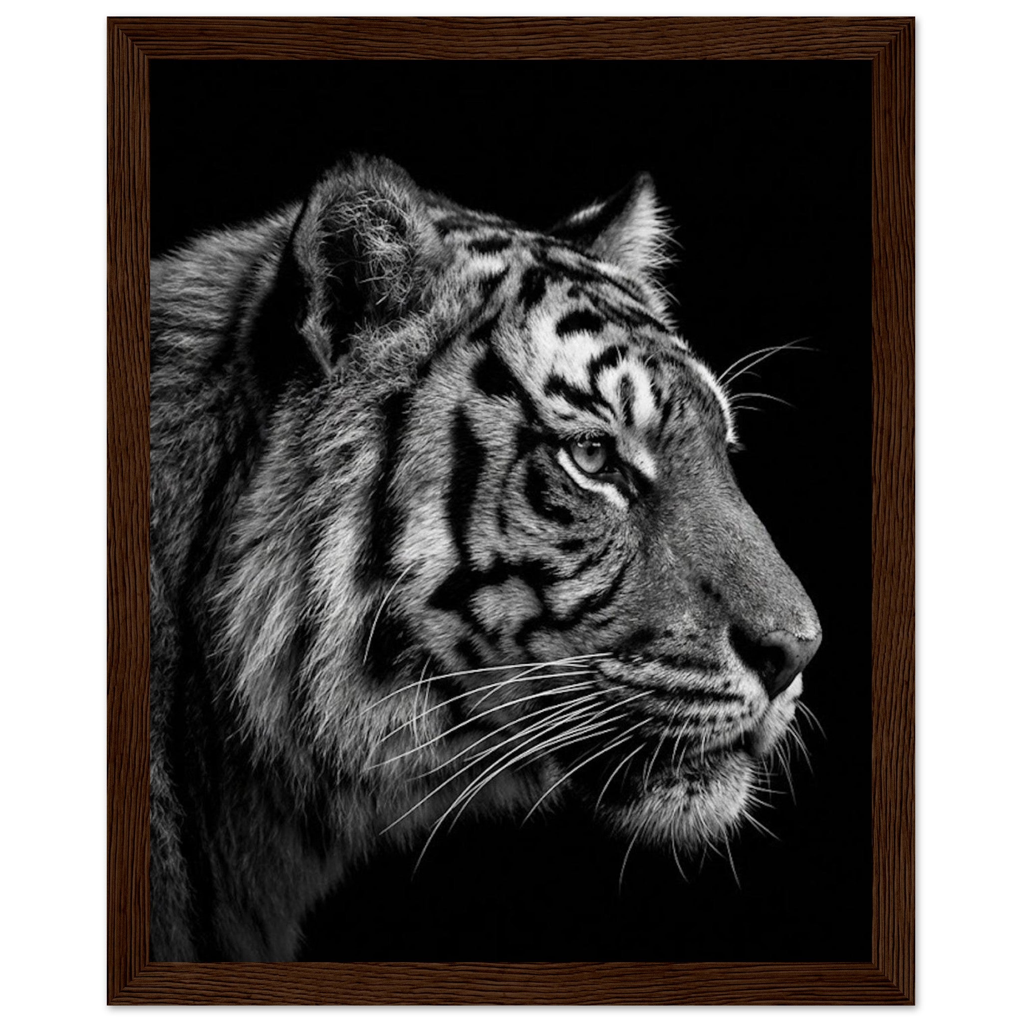 aec0fd5b-e411-4cfb-a3e1-cc929175bb3f