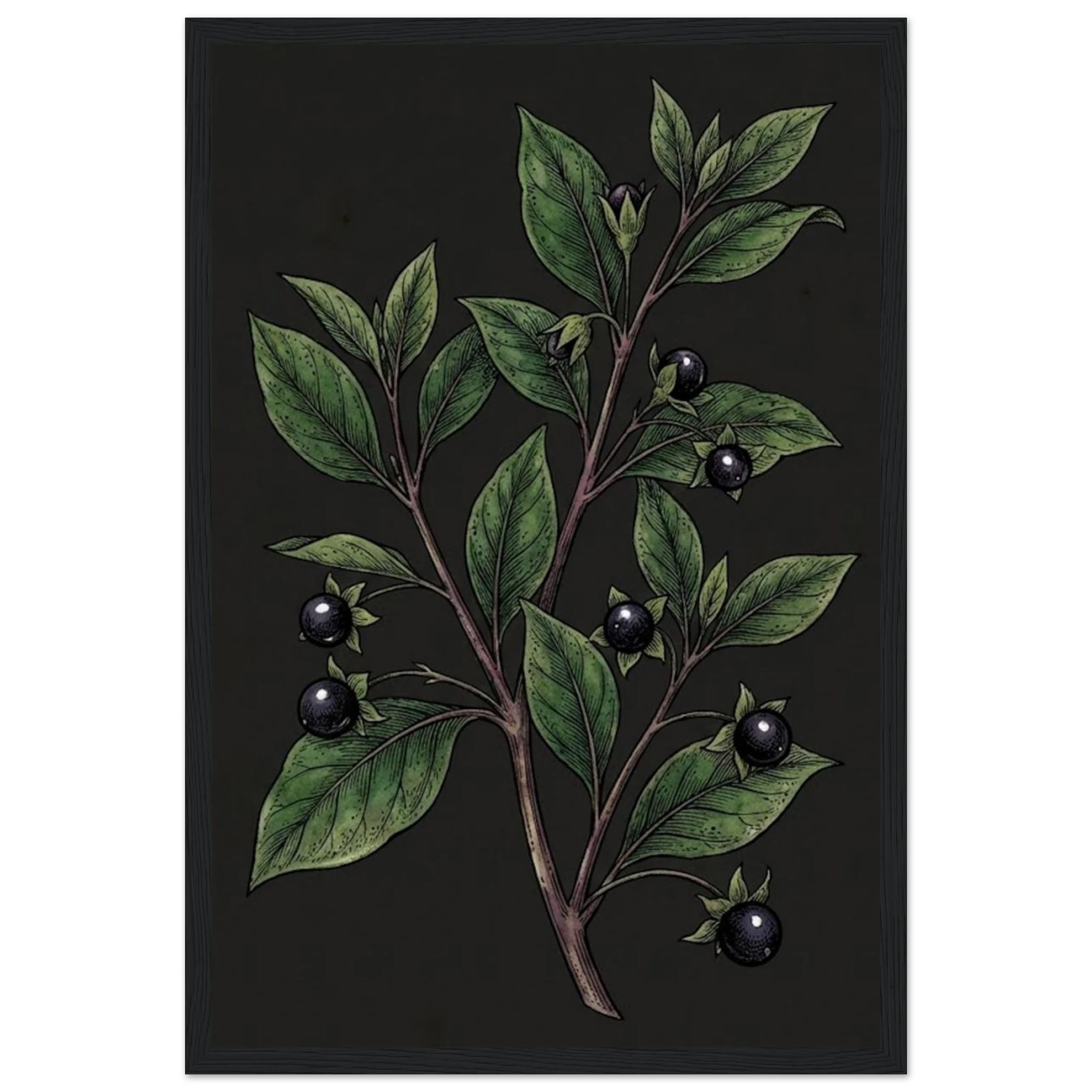 b0d08680-0034-4432-a9cb-ec42d5cca7c7