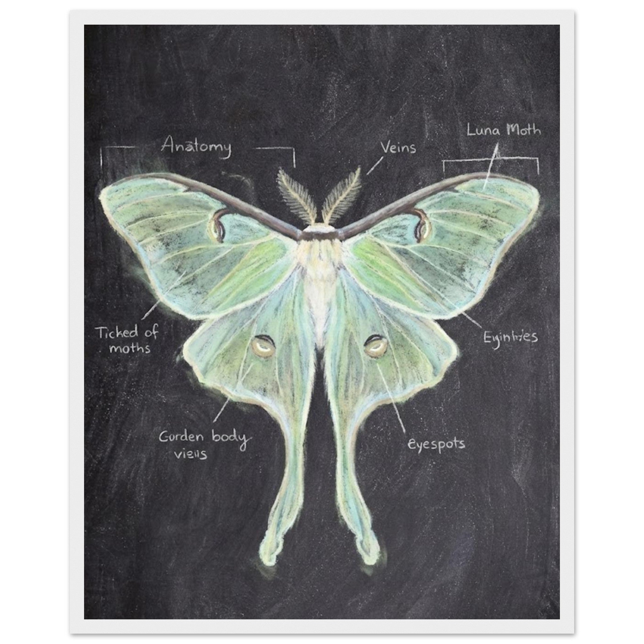 b17d54de-3f9c-4d26-a242-23d6c62356e1