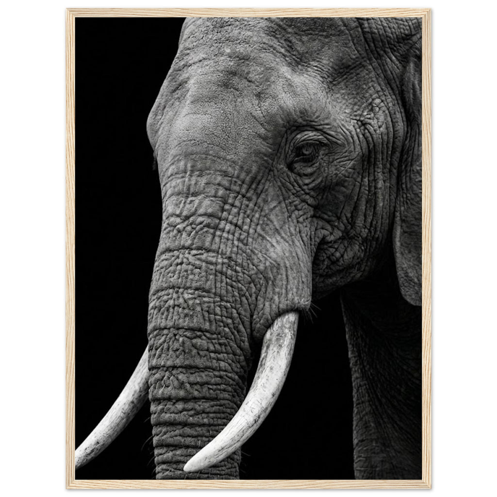 b3d12c40-3cff-4a51-bb35-37efd033cc82