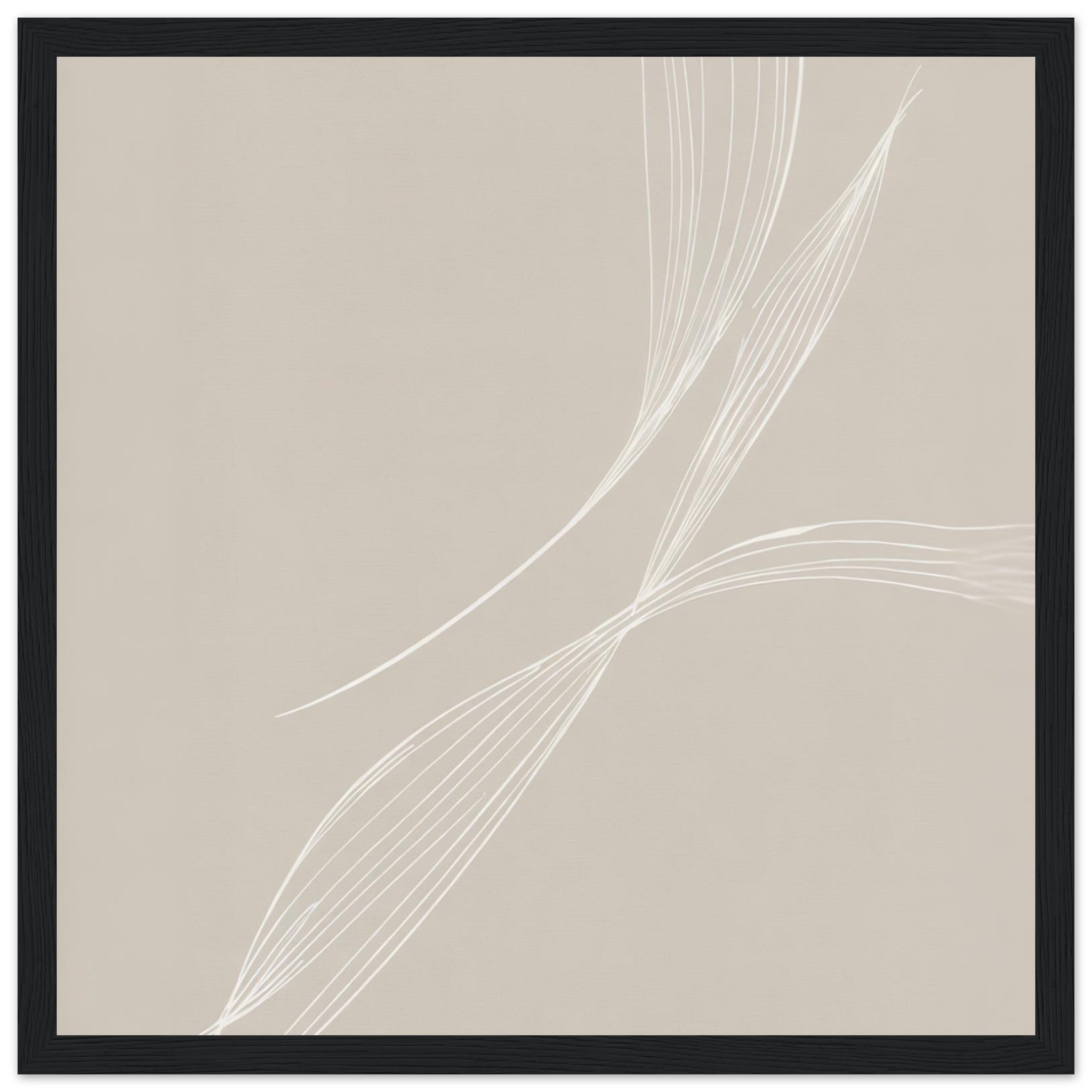 b451ef9b-e033-4418-bb3c-b1506ce8c2f2