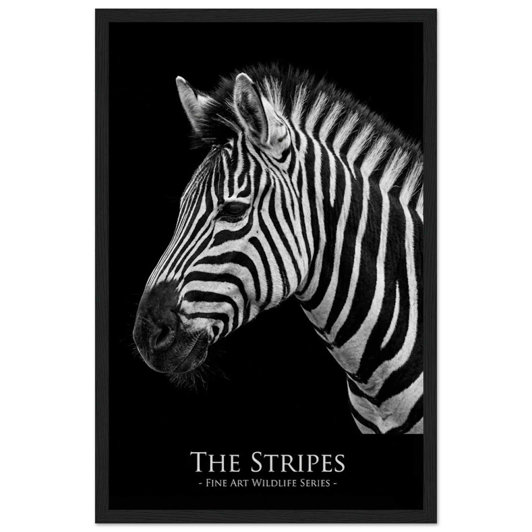 b4861847-4ca7-41a3-89a0-c3cb065110b9