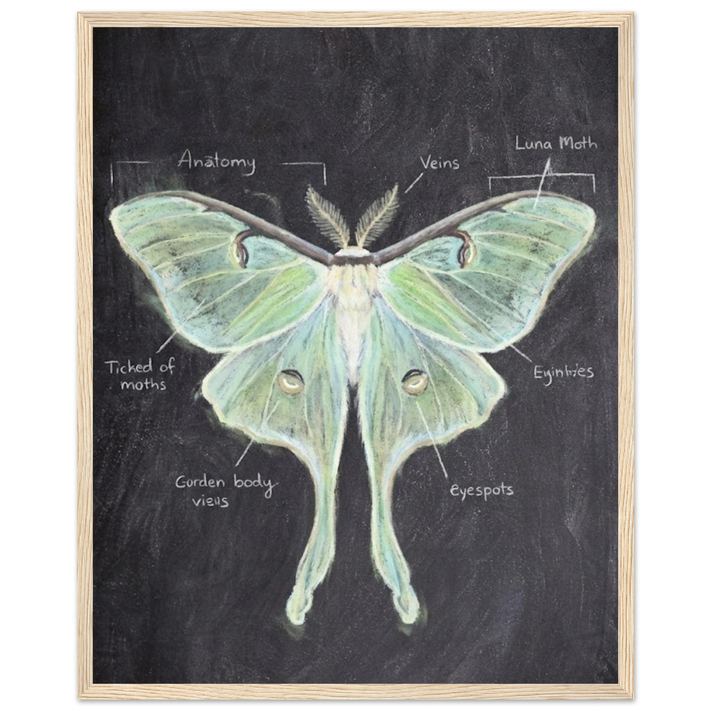 b487ad92-c161-4f3c-9adf-718875200799