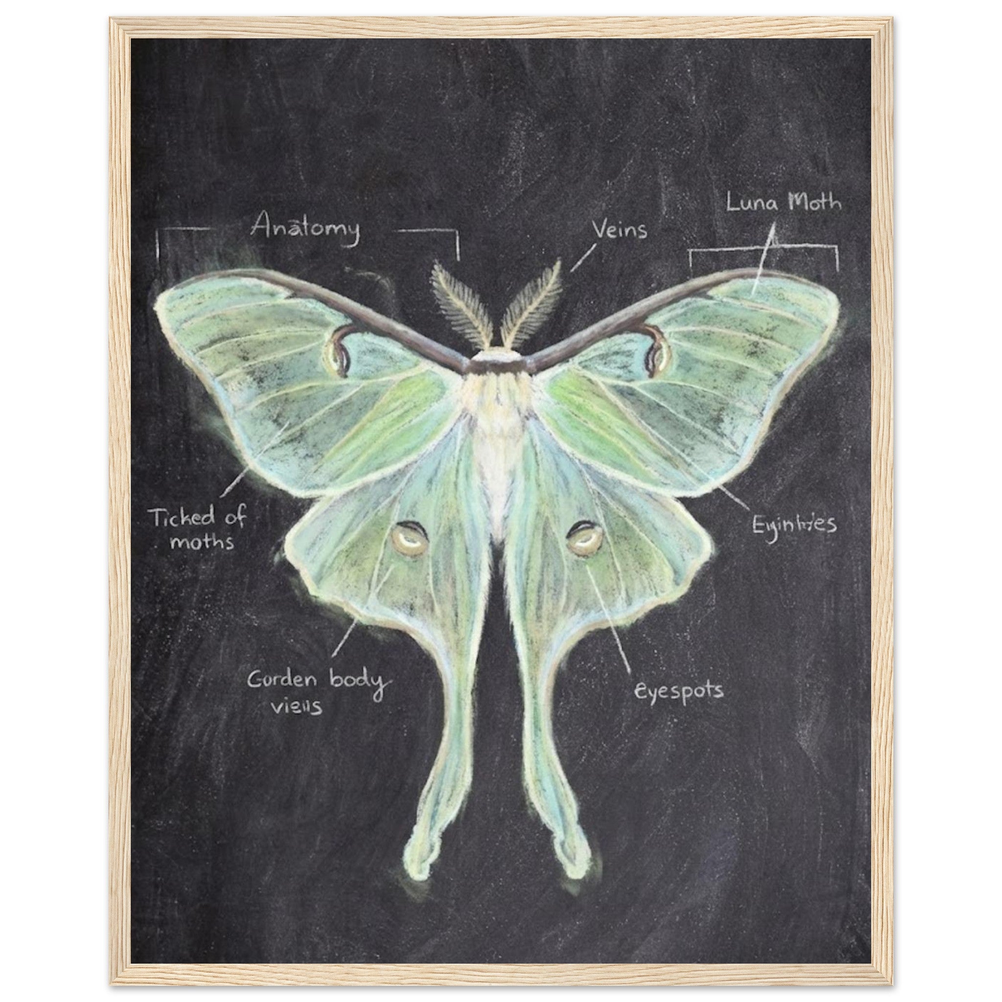 b487ad92-c161-4f3c-9adf-718875200799