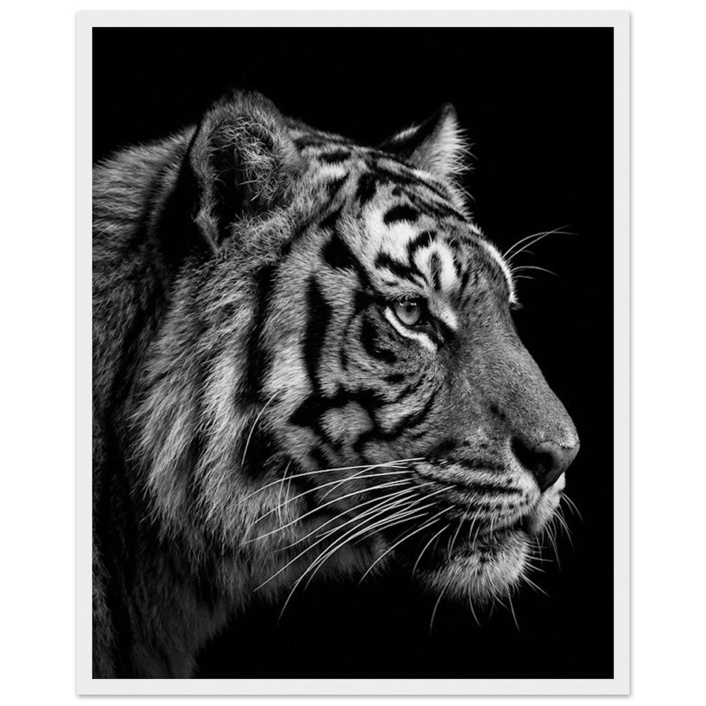 b65bb9aa-4d9e-45bd-921e-904321e092f3