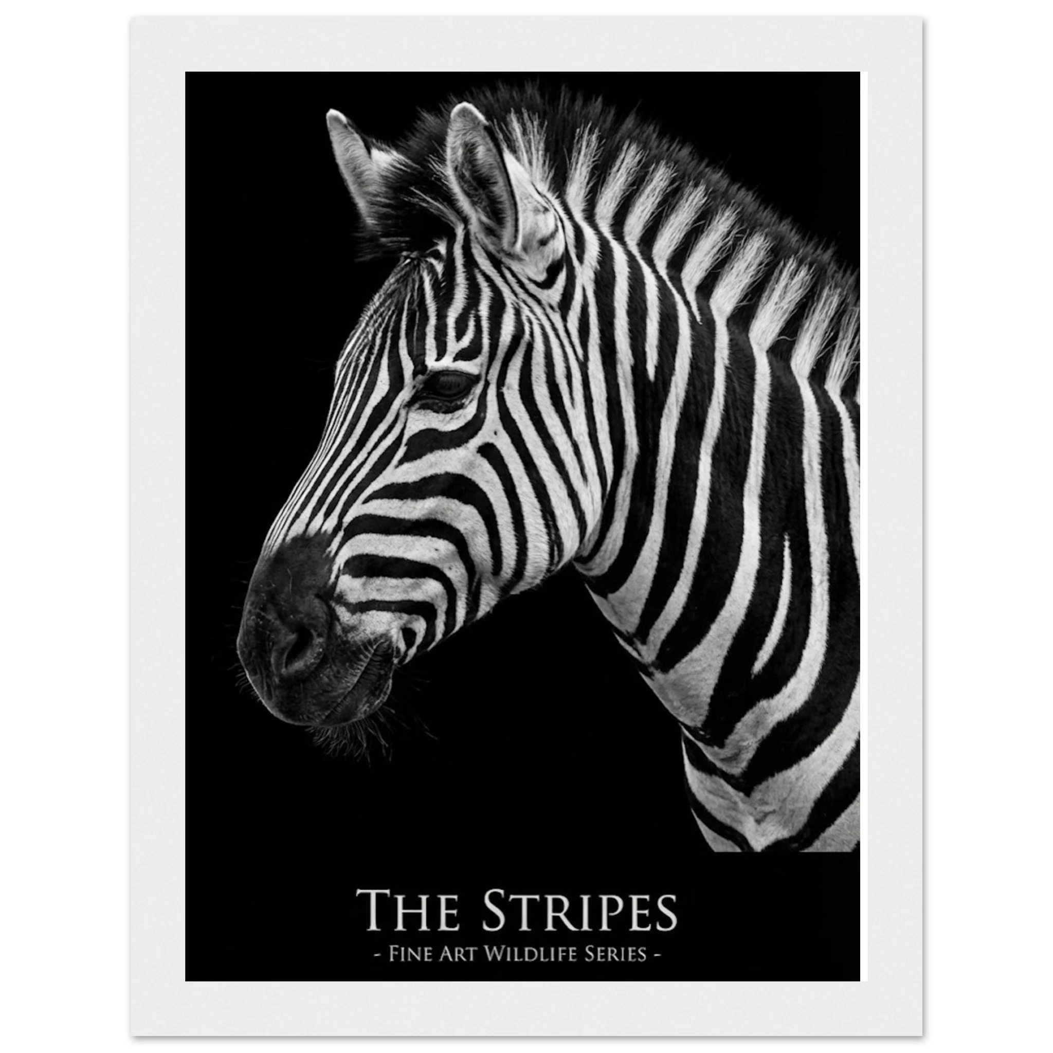 b665d023-ccb4-4b33-ac71-3fce919463b9