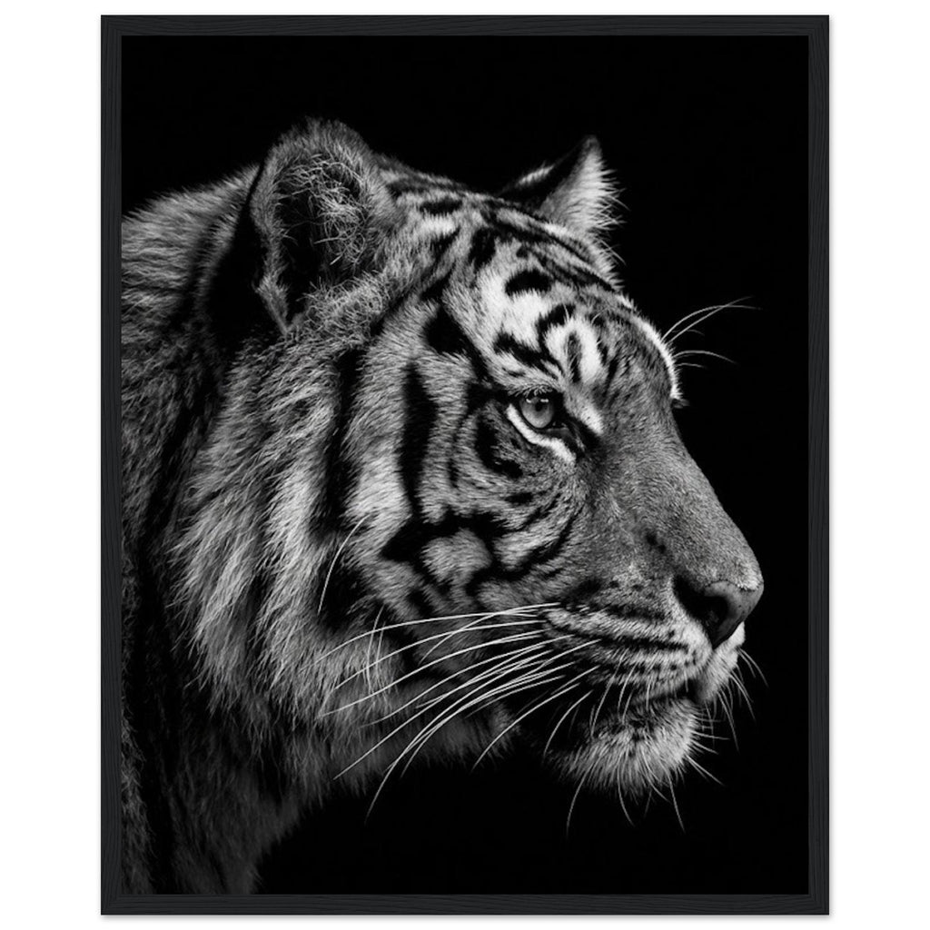 b8024aed-2c91-4bf1-97e5-c4e21a7545b4