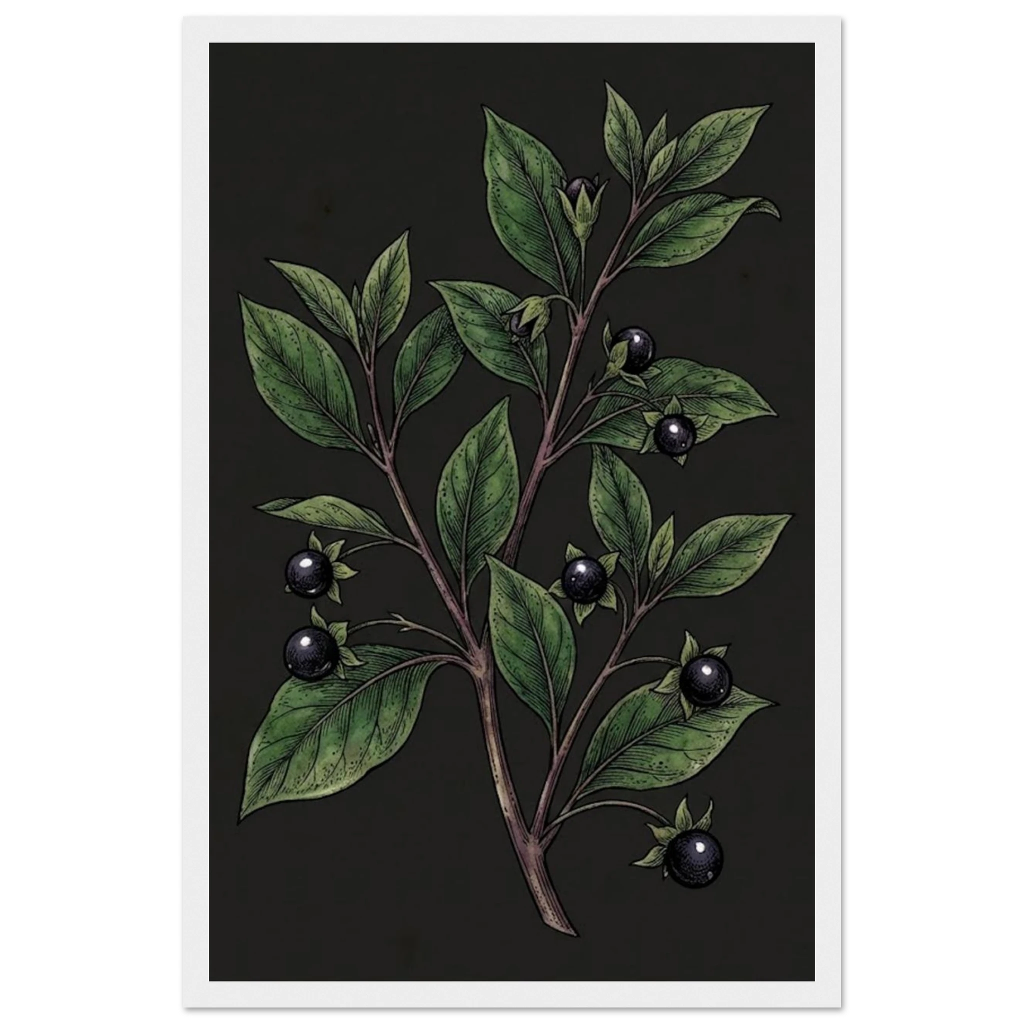 b838499e-c2b6-4b8c-b3b8-229e7e5e29c6