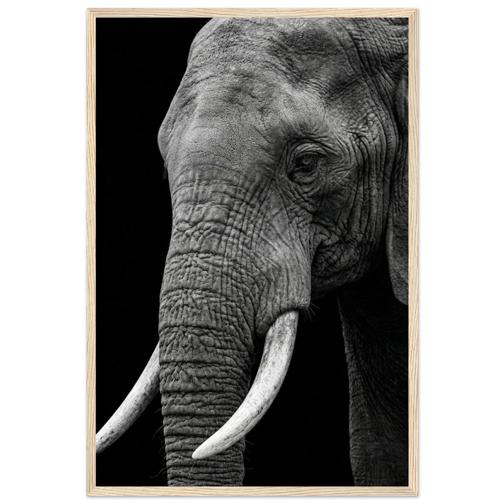 bd344619-f0de-4b71-9a88-1adf54dd5f43