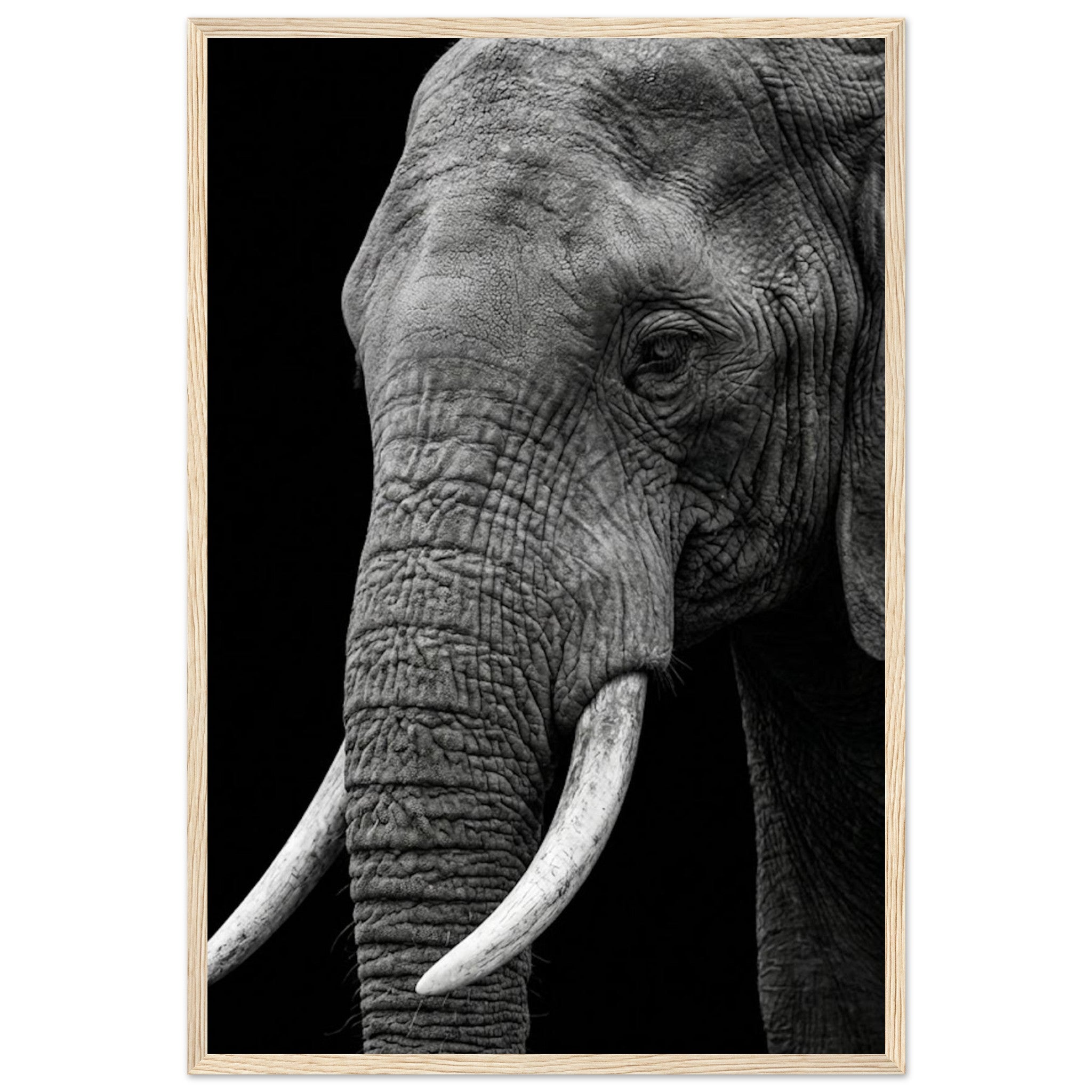 bd344619-f0de-4b71-9a88-1adf54dd5f43