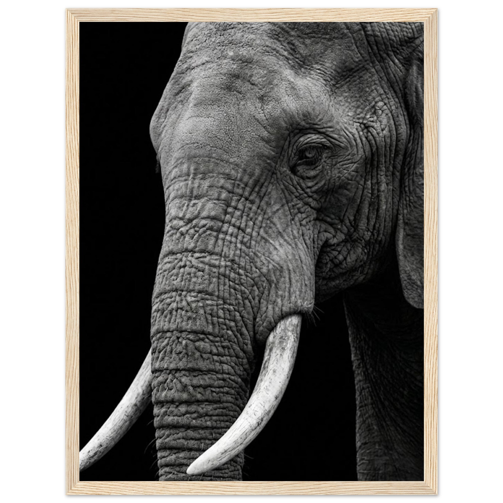 c009f36c-ea4f-438f-8d55-7e7e20c36f96