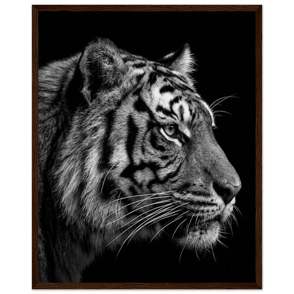 c323c3c4-8acc-451c-b852-c2c55b703098