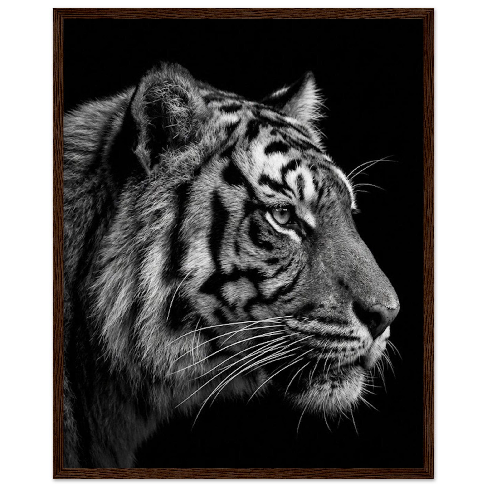 c323c3c4-8acc-451c-b852-c2c55b703098