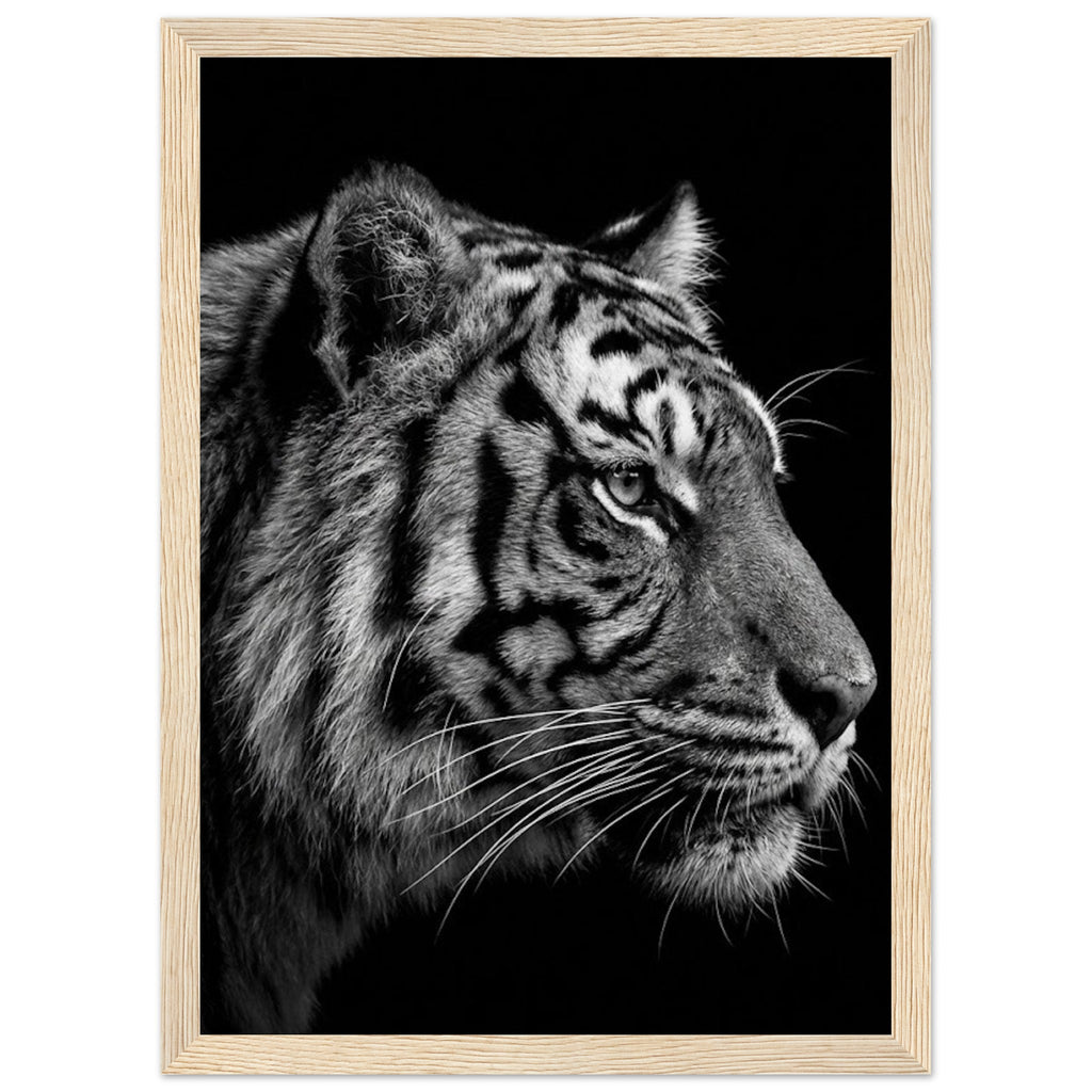 c50670e4-44a1-41ad-9dc1-ac6cf80a38a0